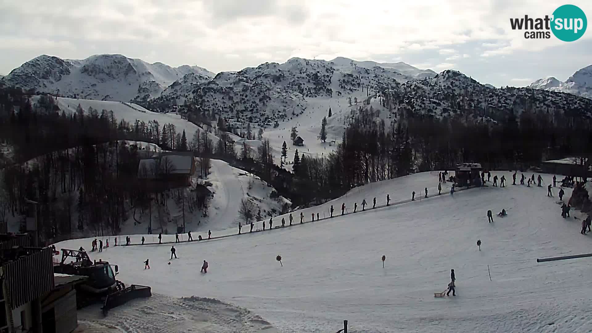 Webcam Skigebiet Vogel