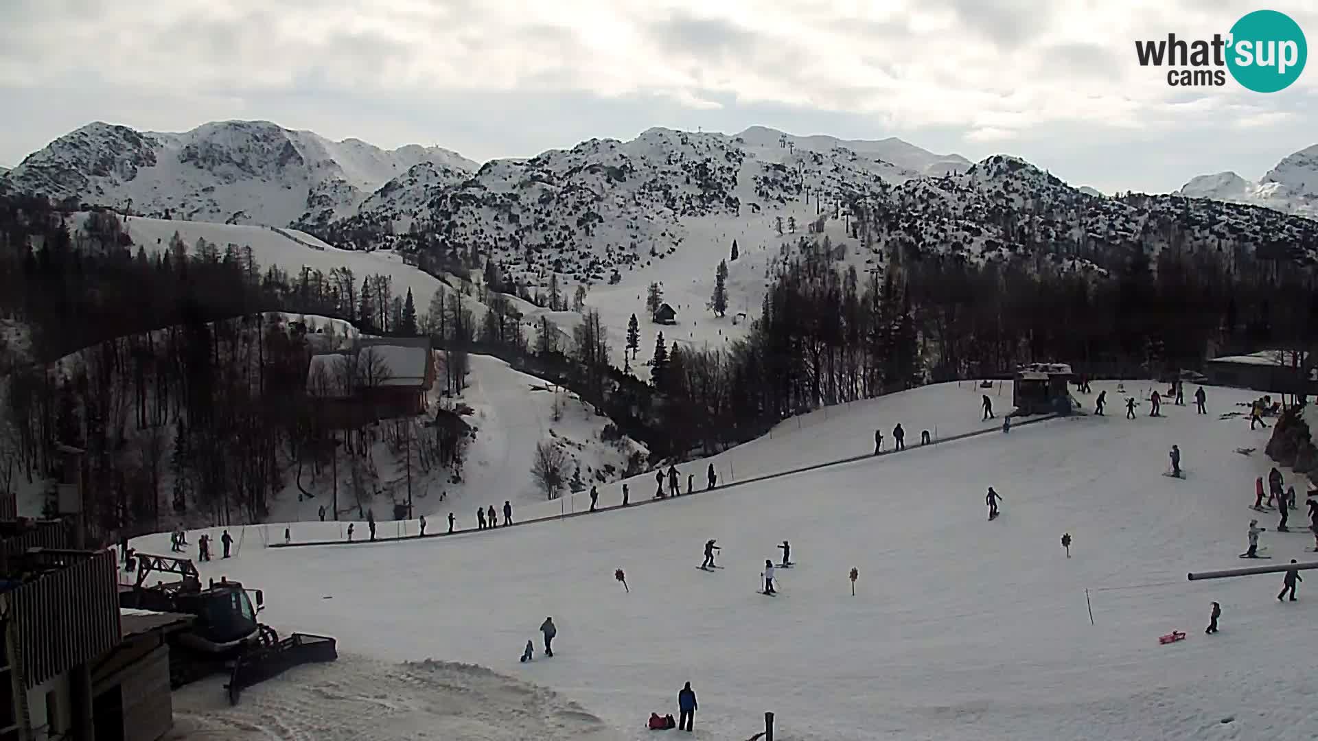 Webcam Ski resort Vogel