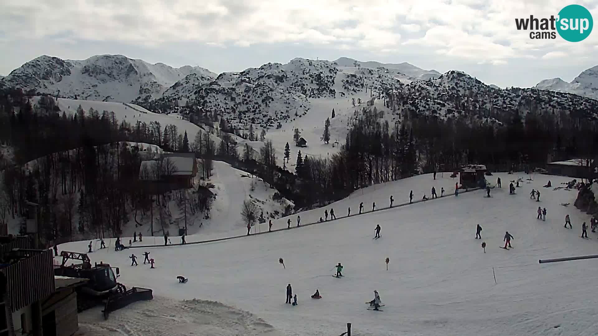 Webcam Ski resort Vogel