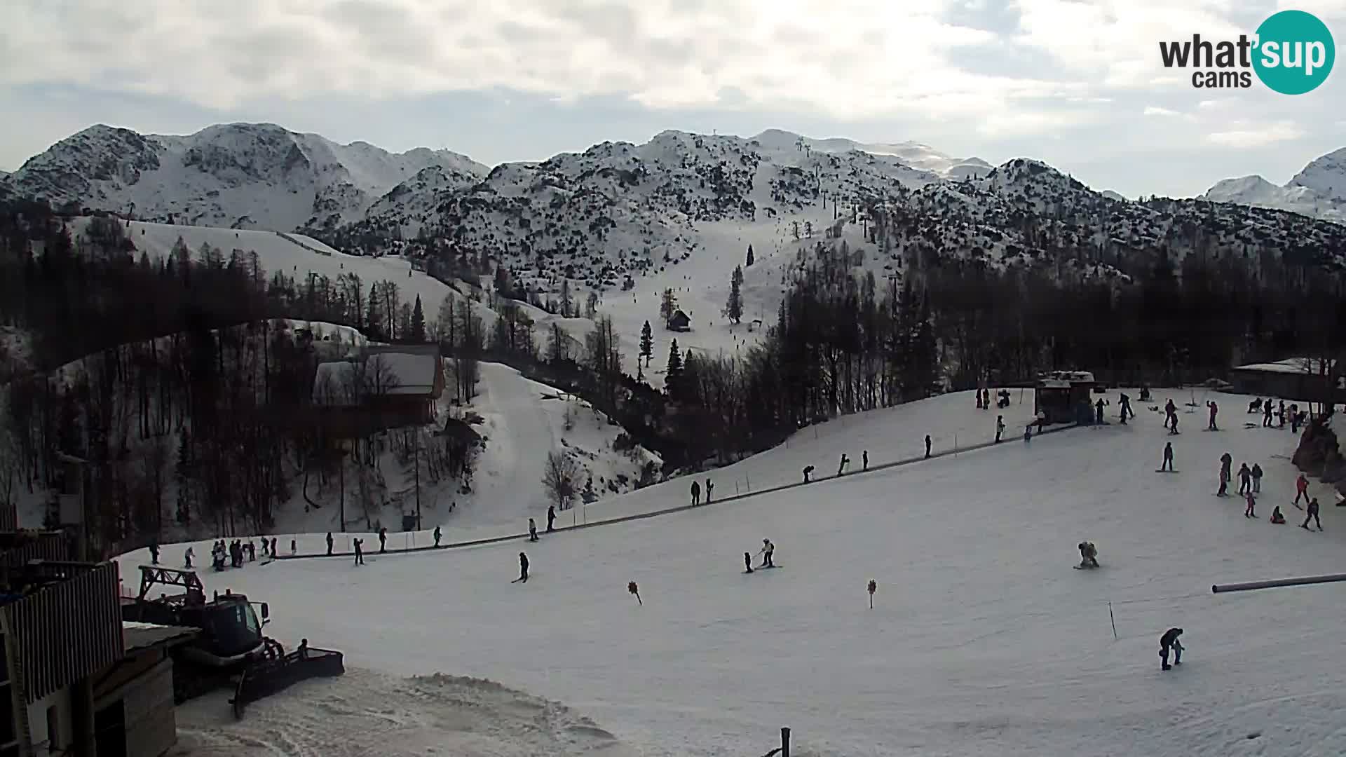 Webcam Ski resort Vogel