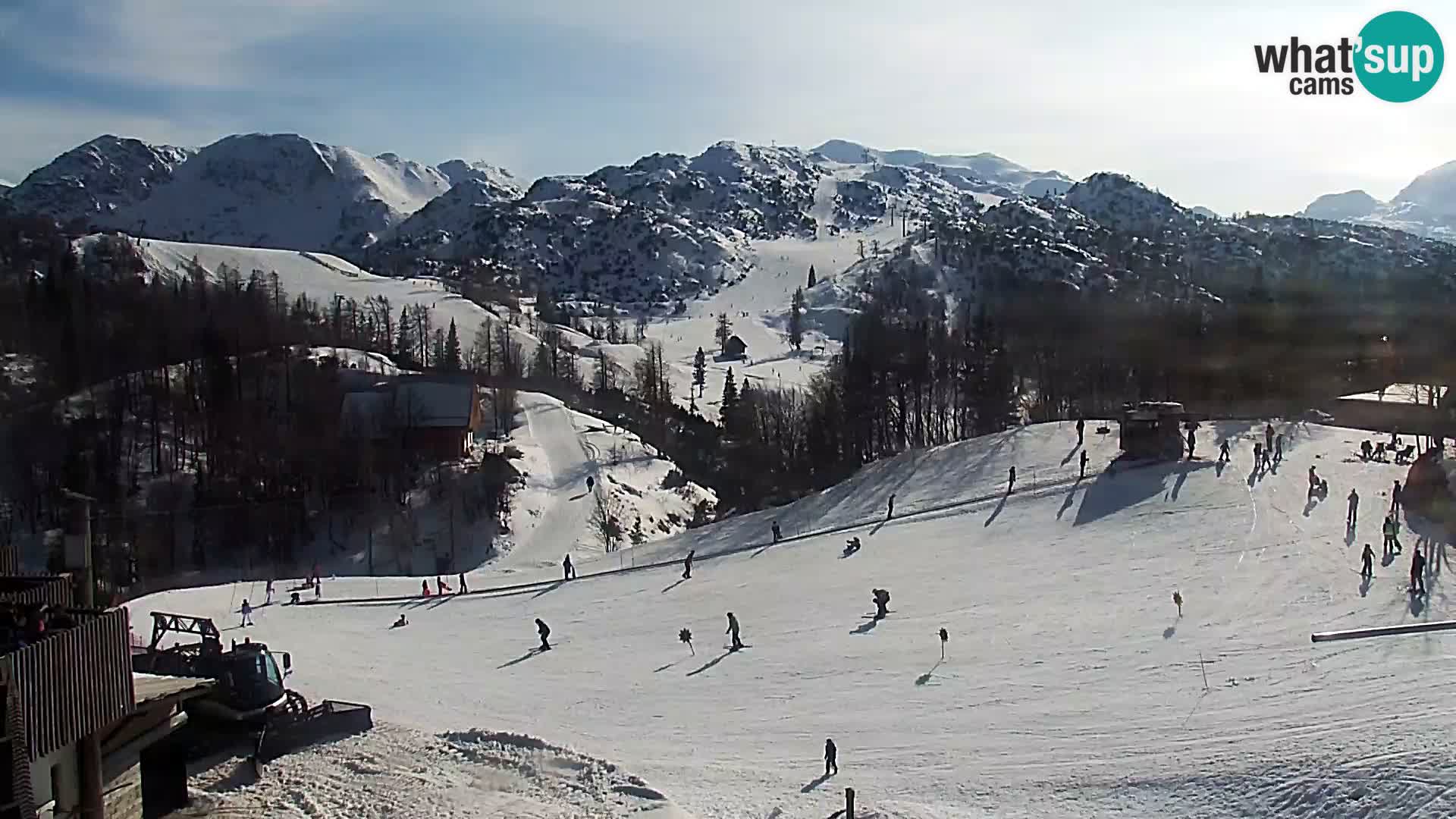 Webcam Ski resort Vogel