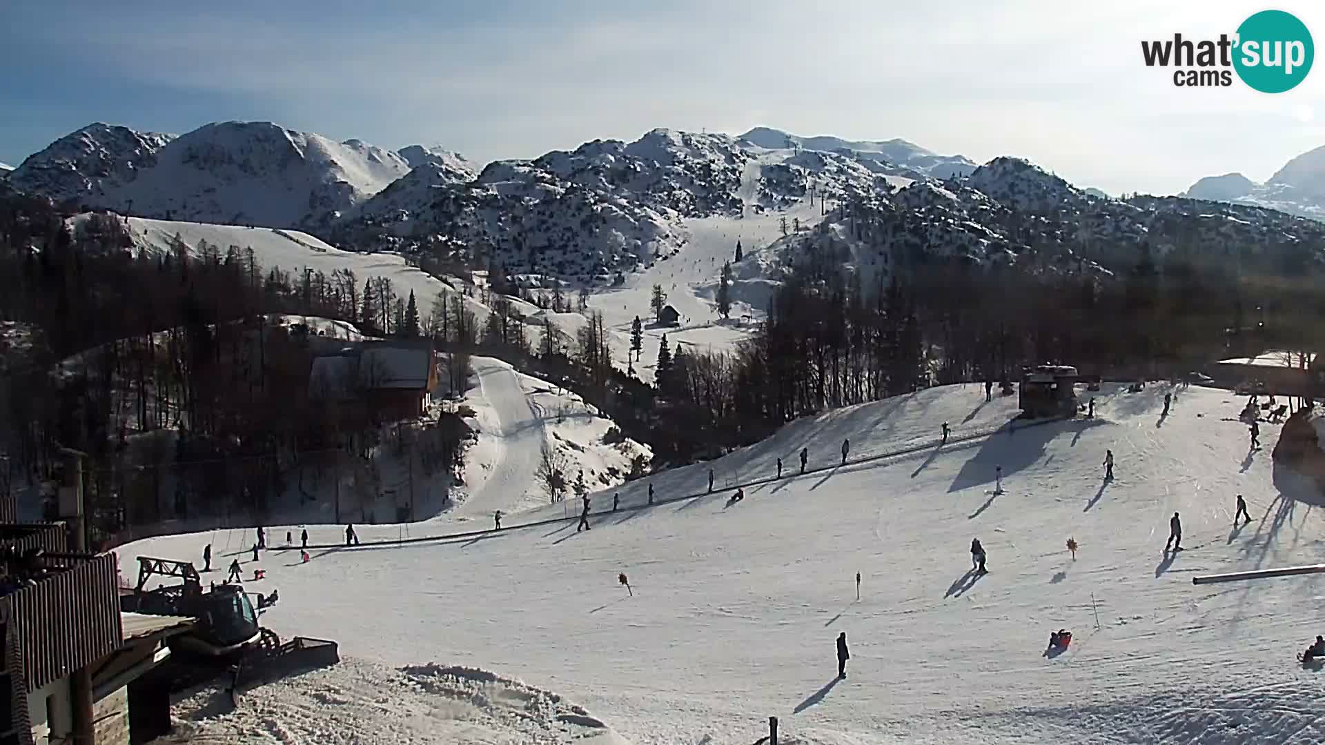 Webcam Ski resort Vogel