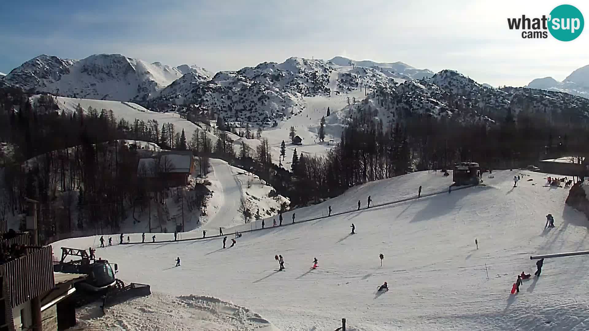 Live cam Station ski Vogel