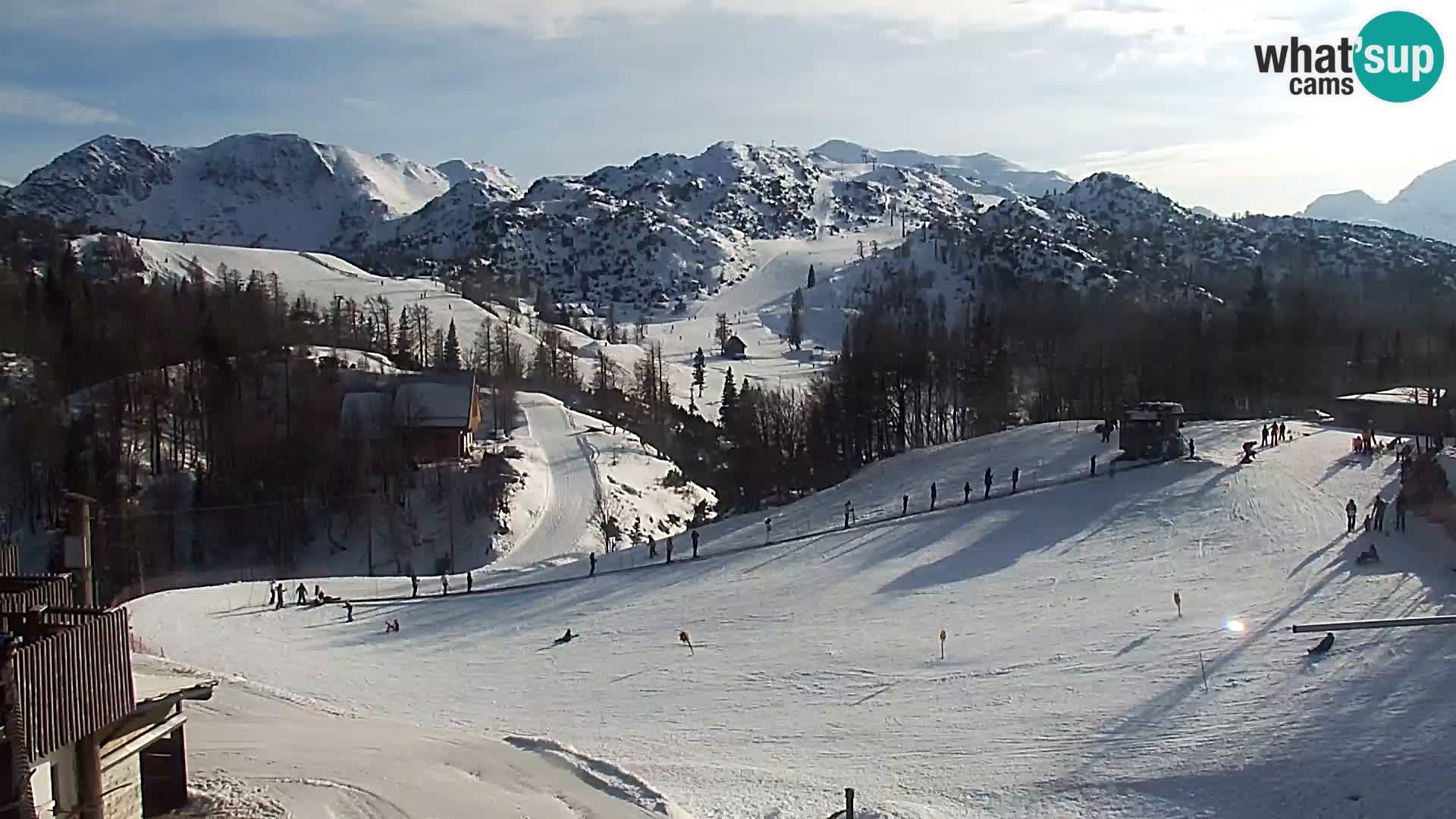 Webcam Ski resort Vogel