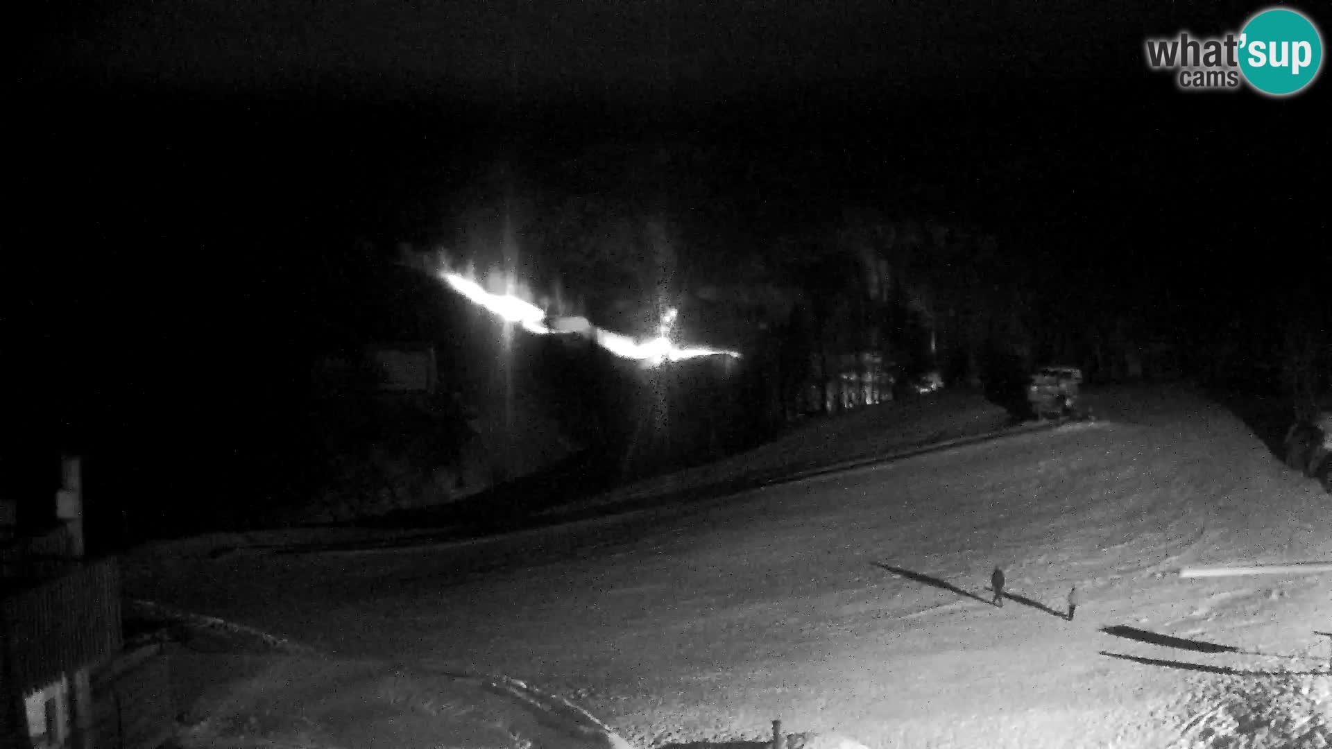 Webcam Skigebiet Vogel