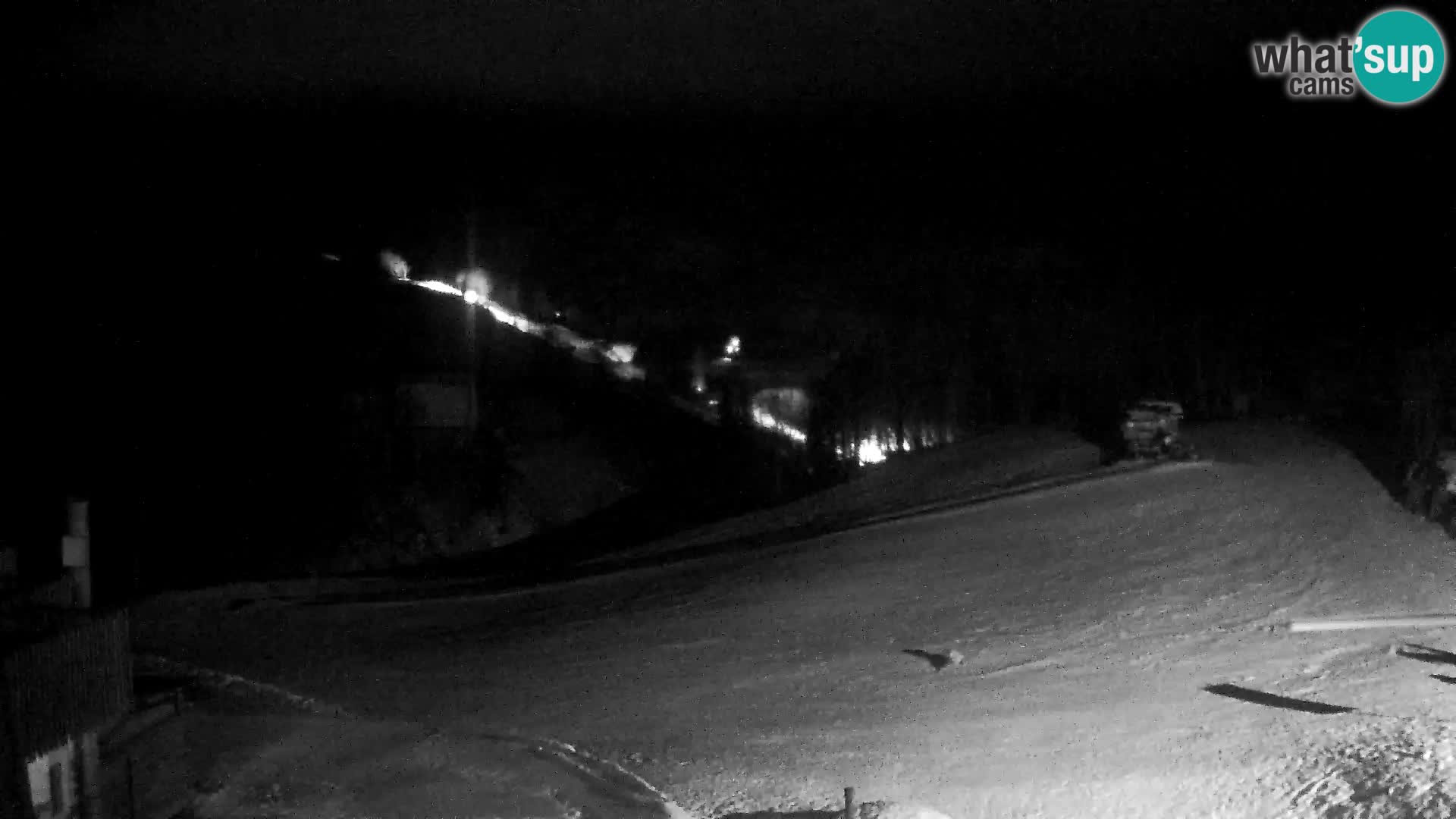 Live cam Station ski Vogel