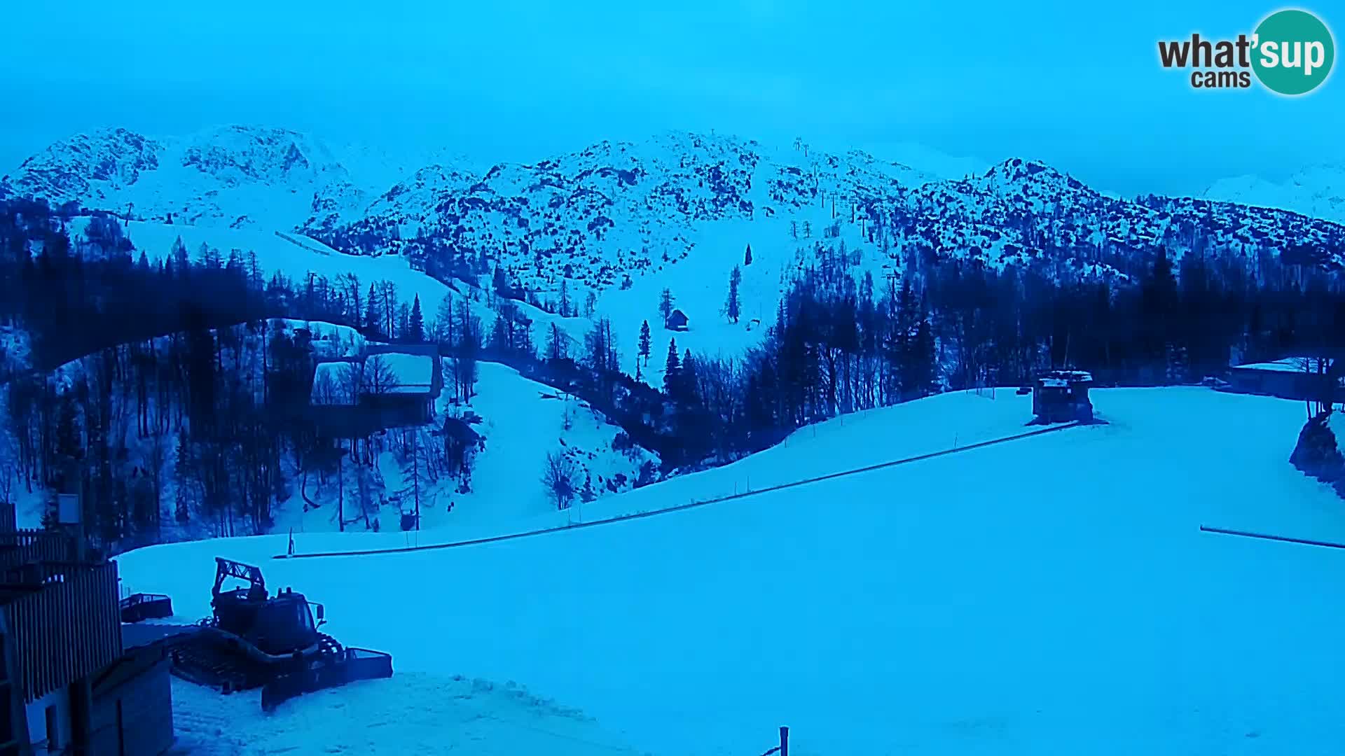 Live cam Station ski Vogel