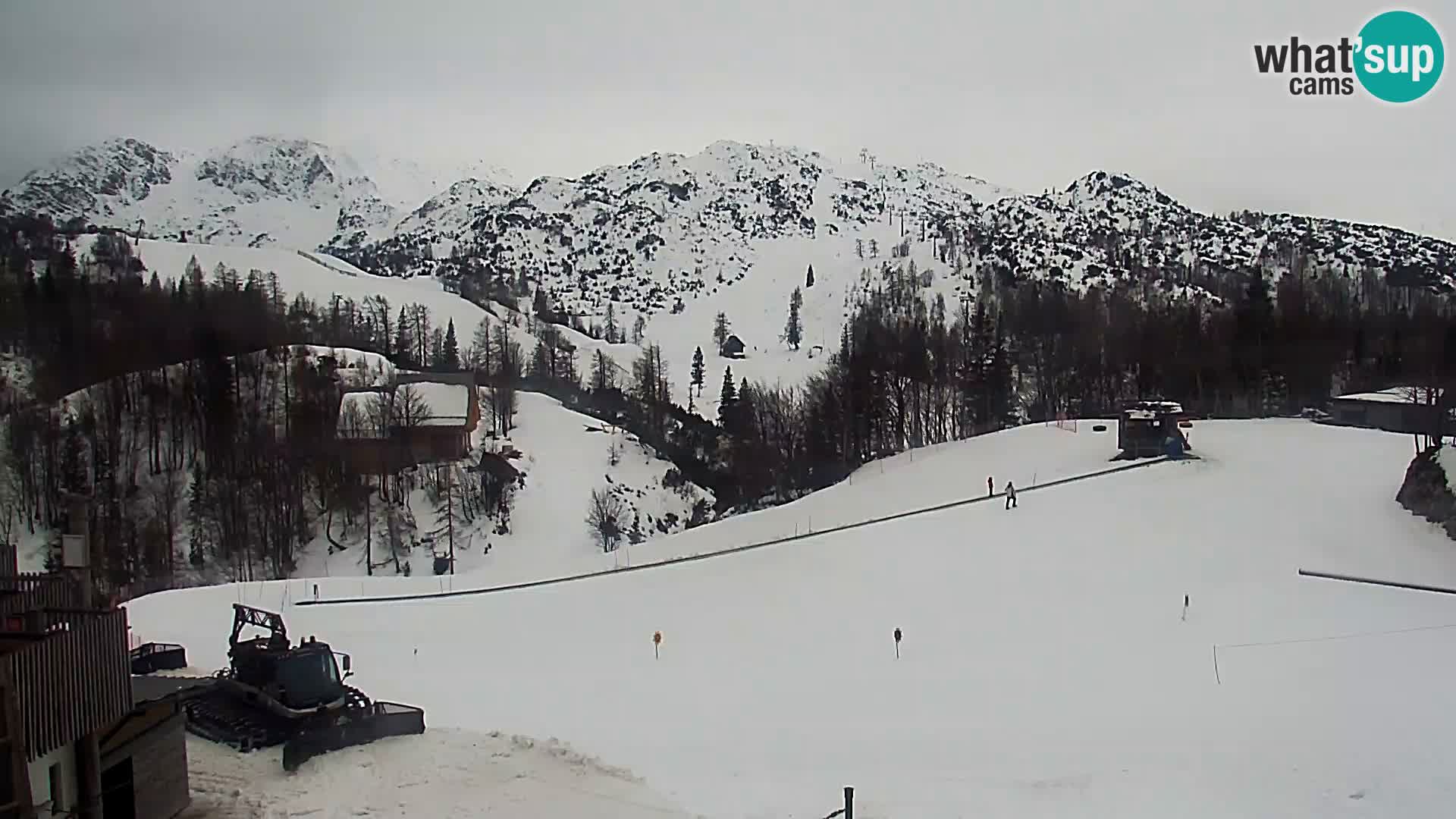 Webcam Skigebiet Vogel