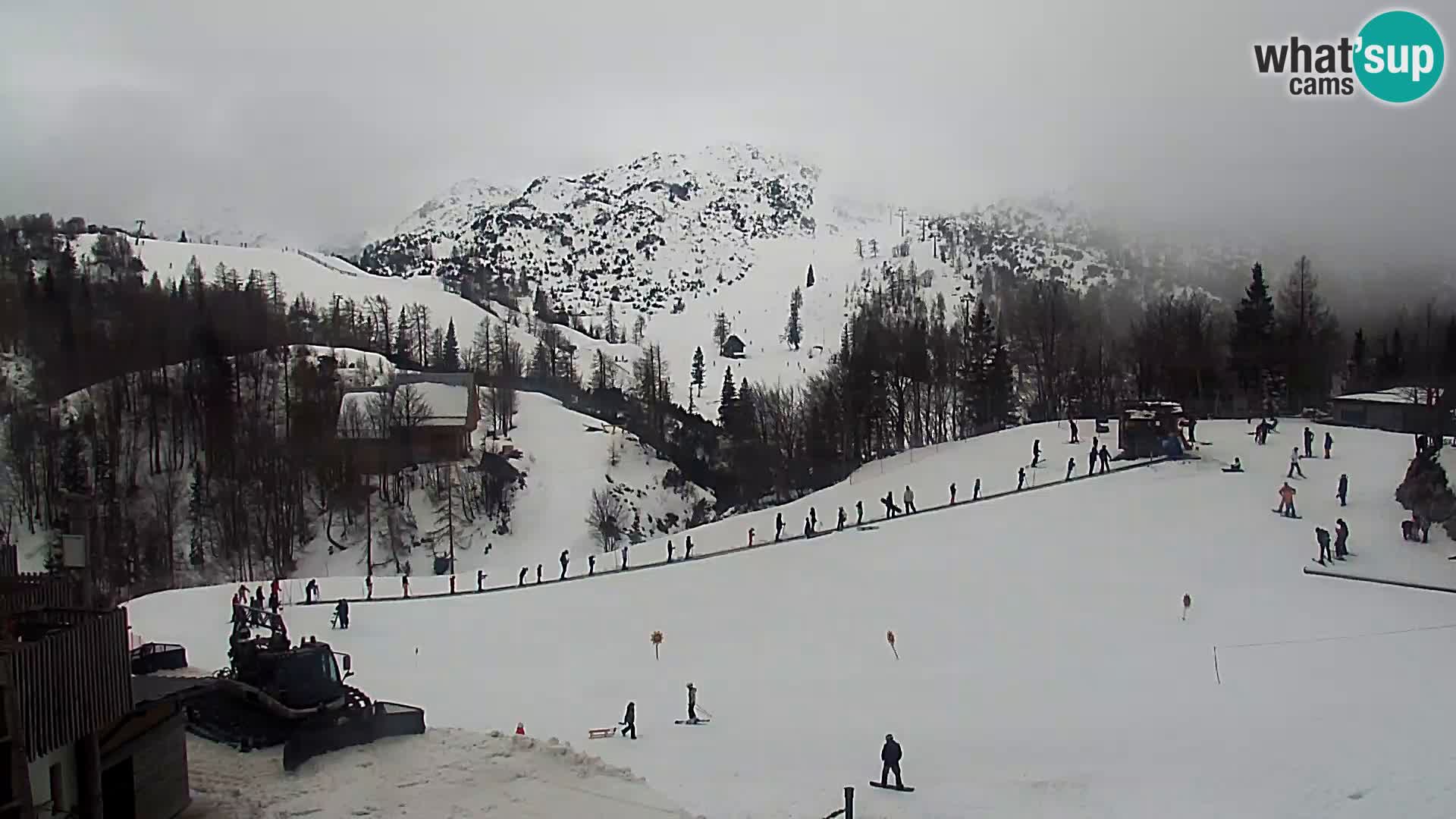 Live cam Station ski Vogel