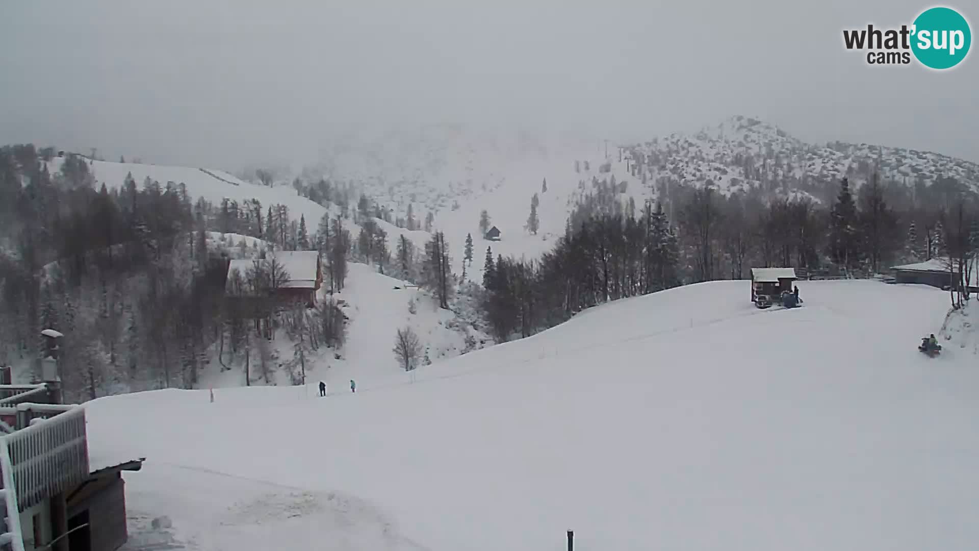 Webcam Skigebiet Vogel