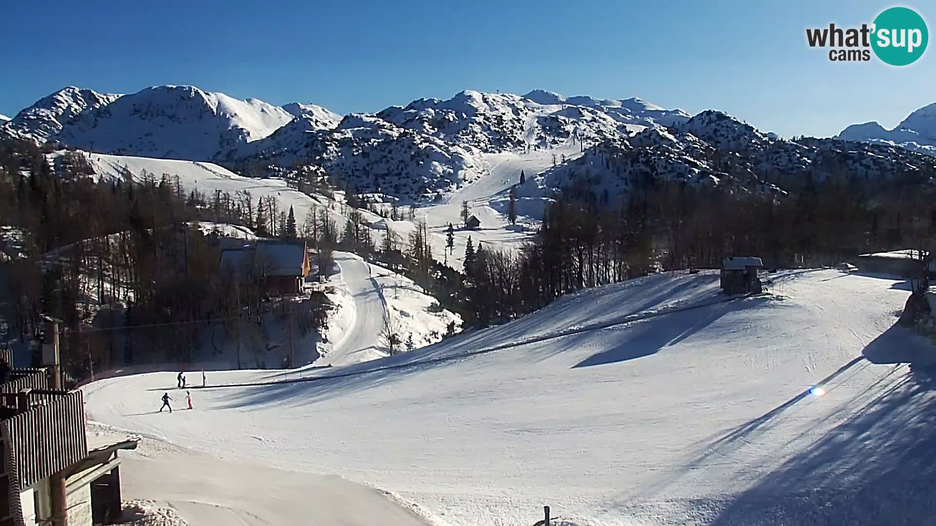 Webcam Skigebiet Vogel