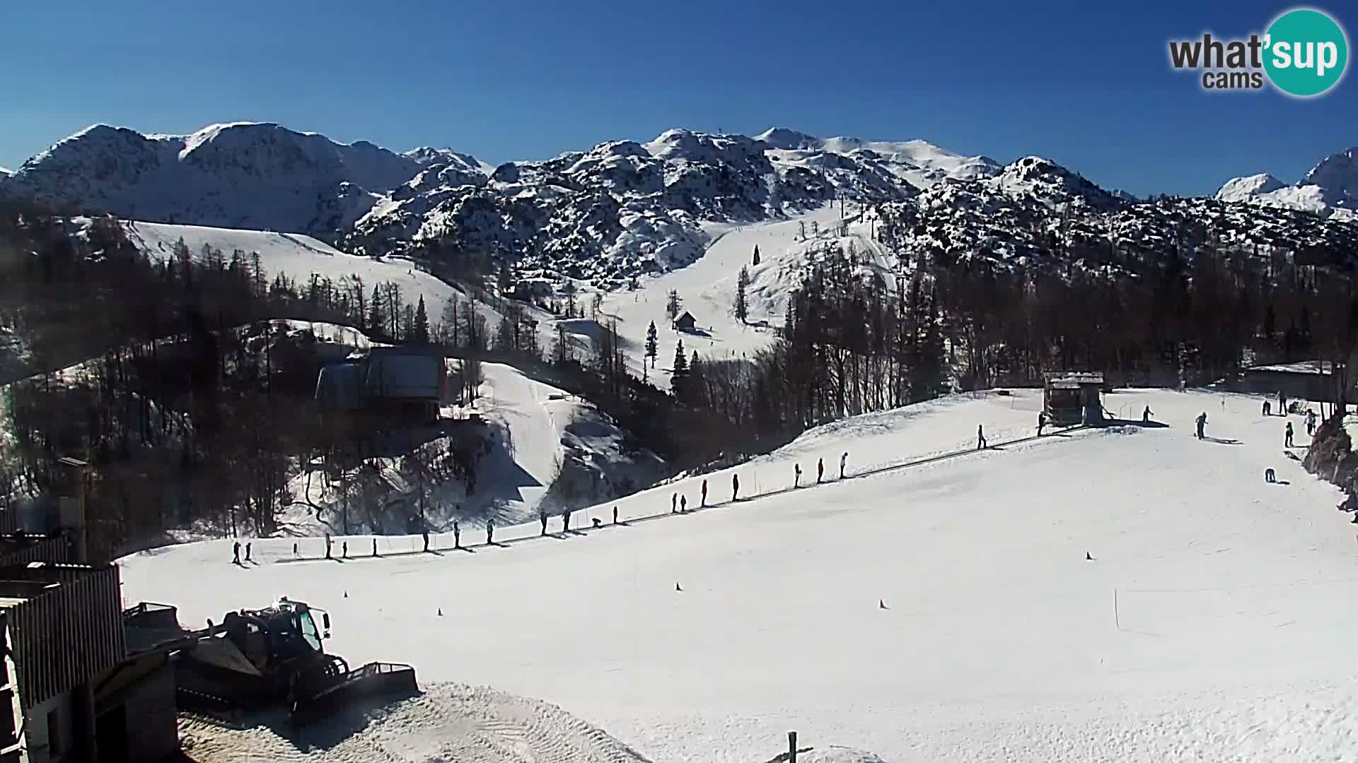 Webcam Ski resort Vogel