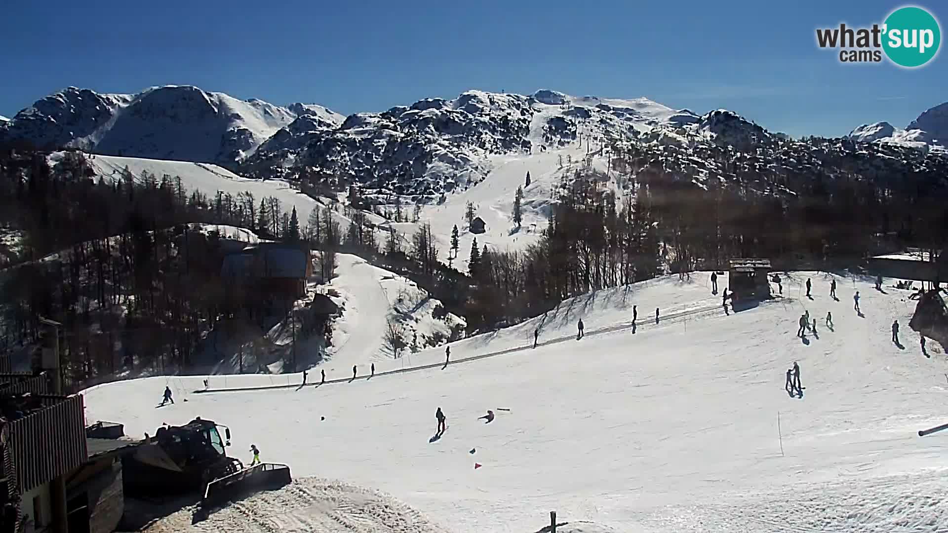 Webcam Ski resort Vogel