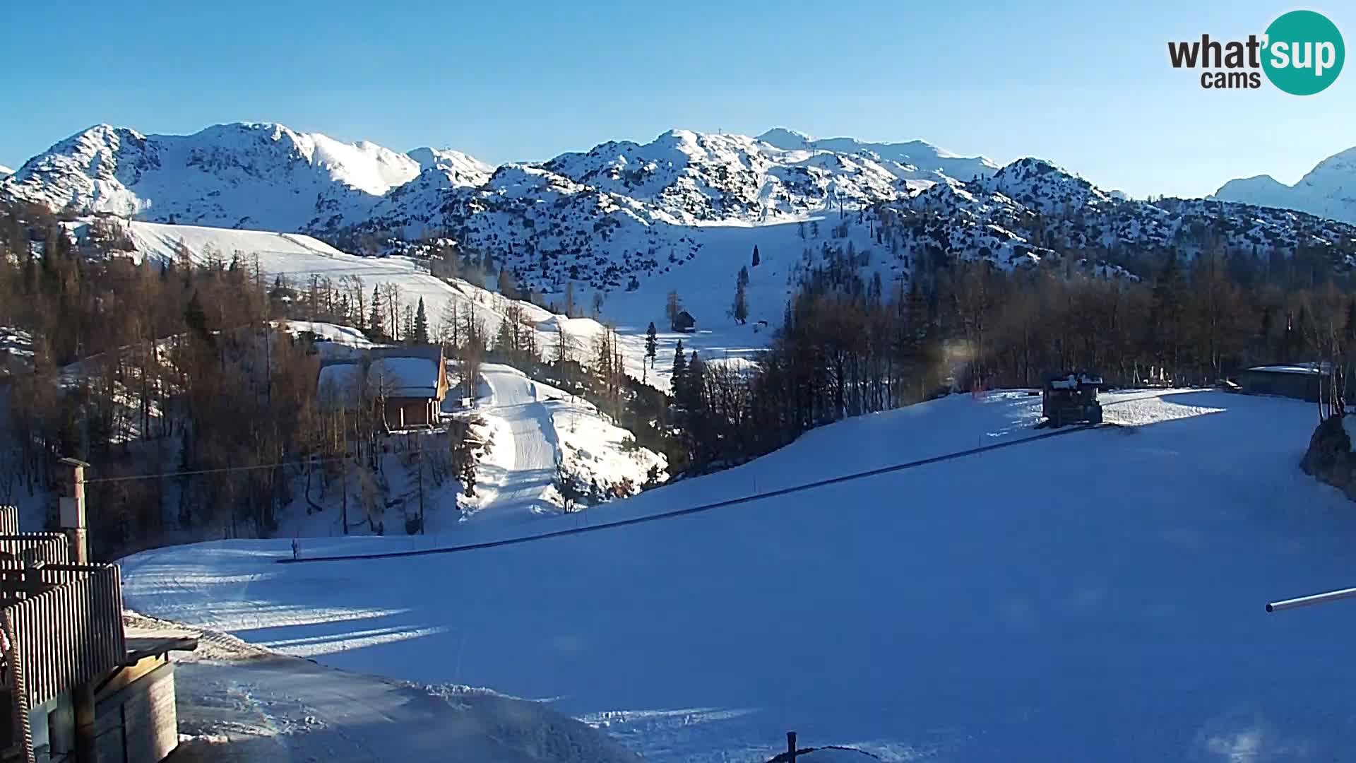 Live cam Station ski Vogel