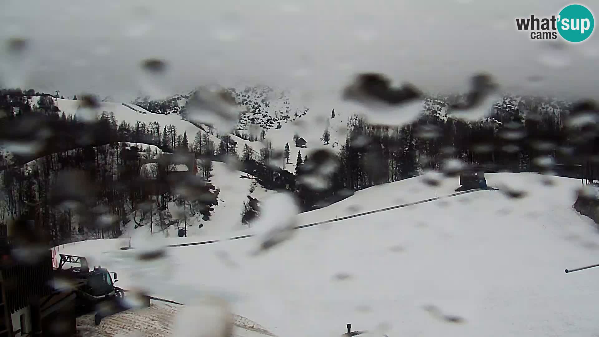 Live cam Station ski Vogel