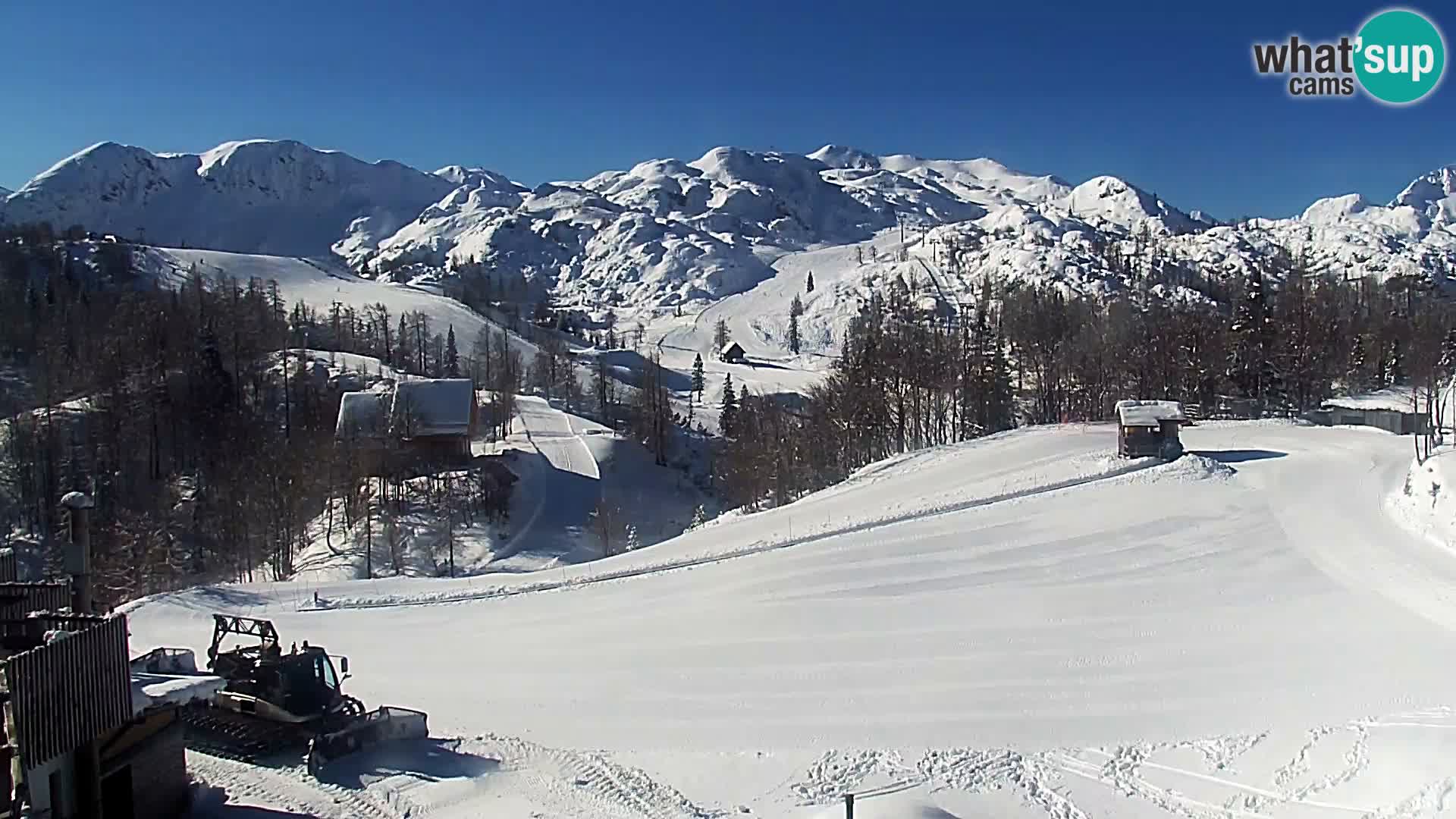 Live cam Station ski Vogel