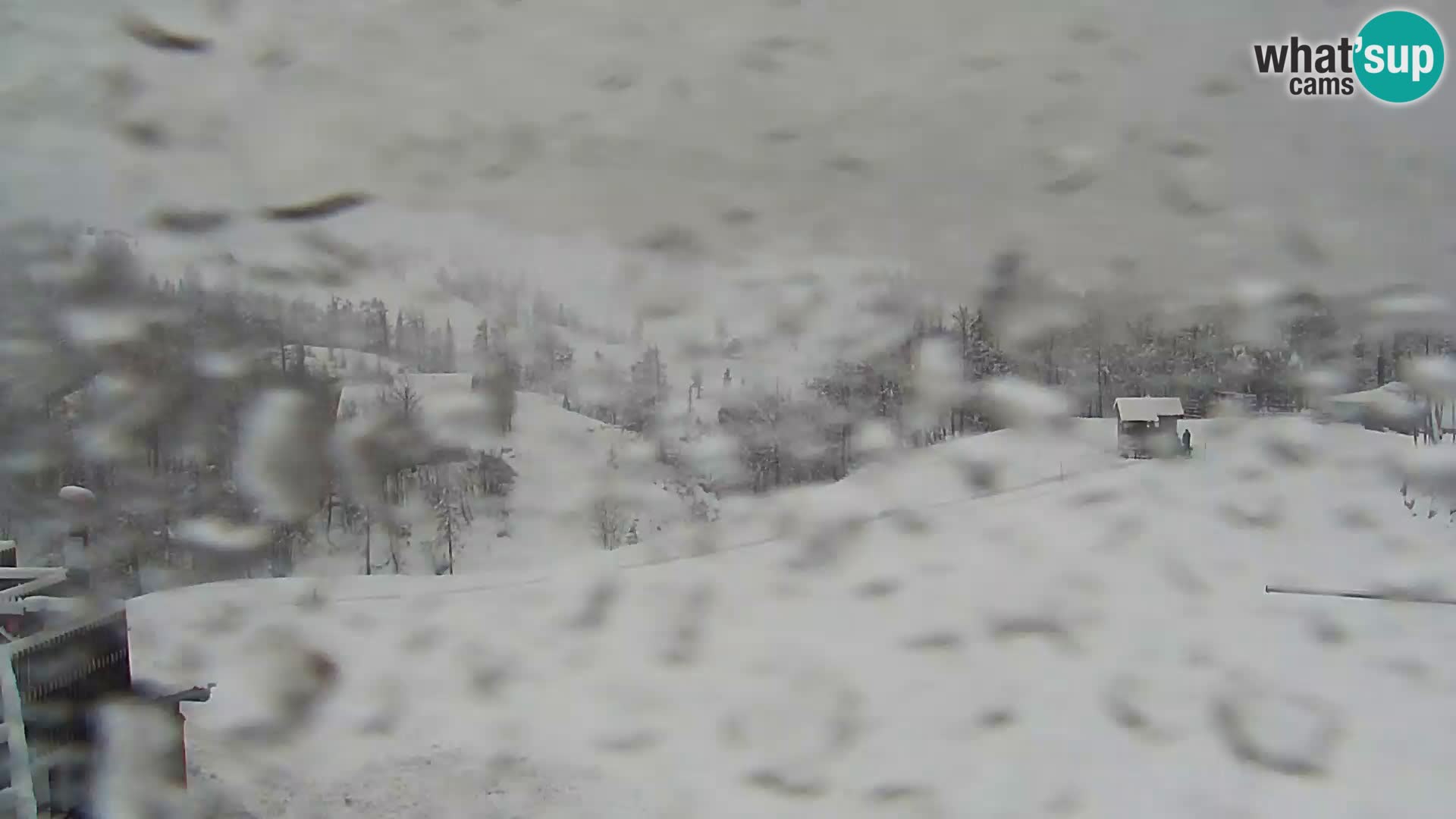 Live cam Station ski Vogel