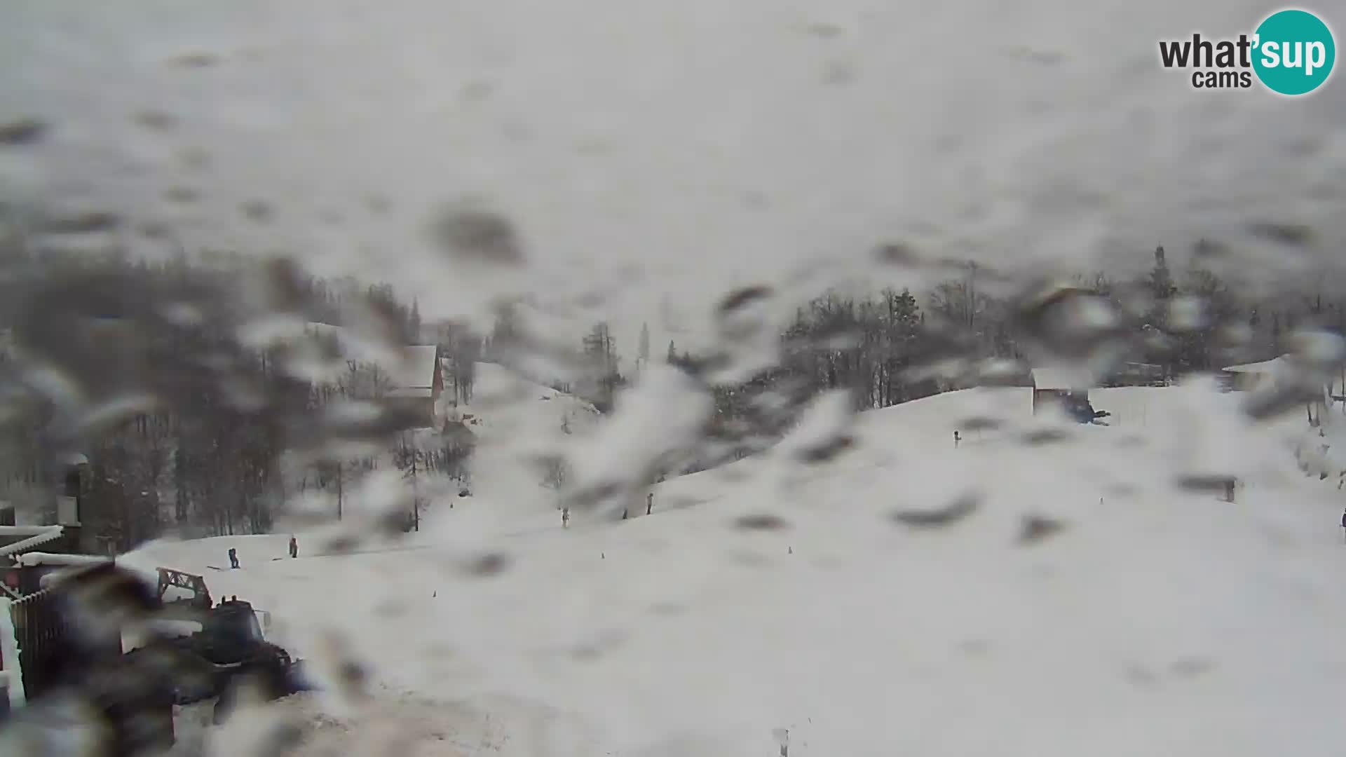 Webcam Ski resort Vogel