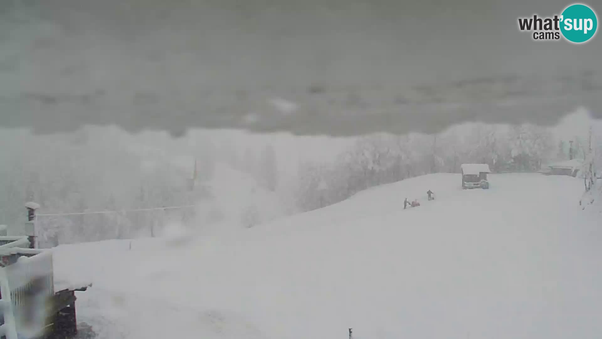 Webcam Skigebiet Vogel