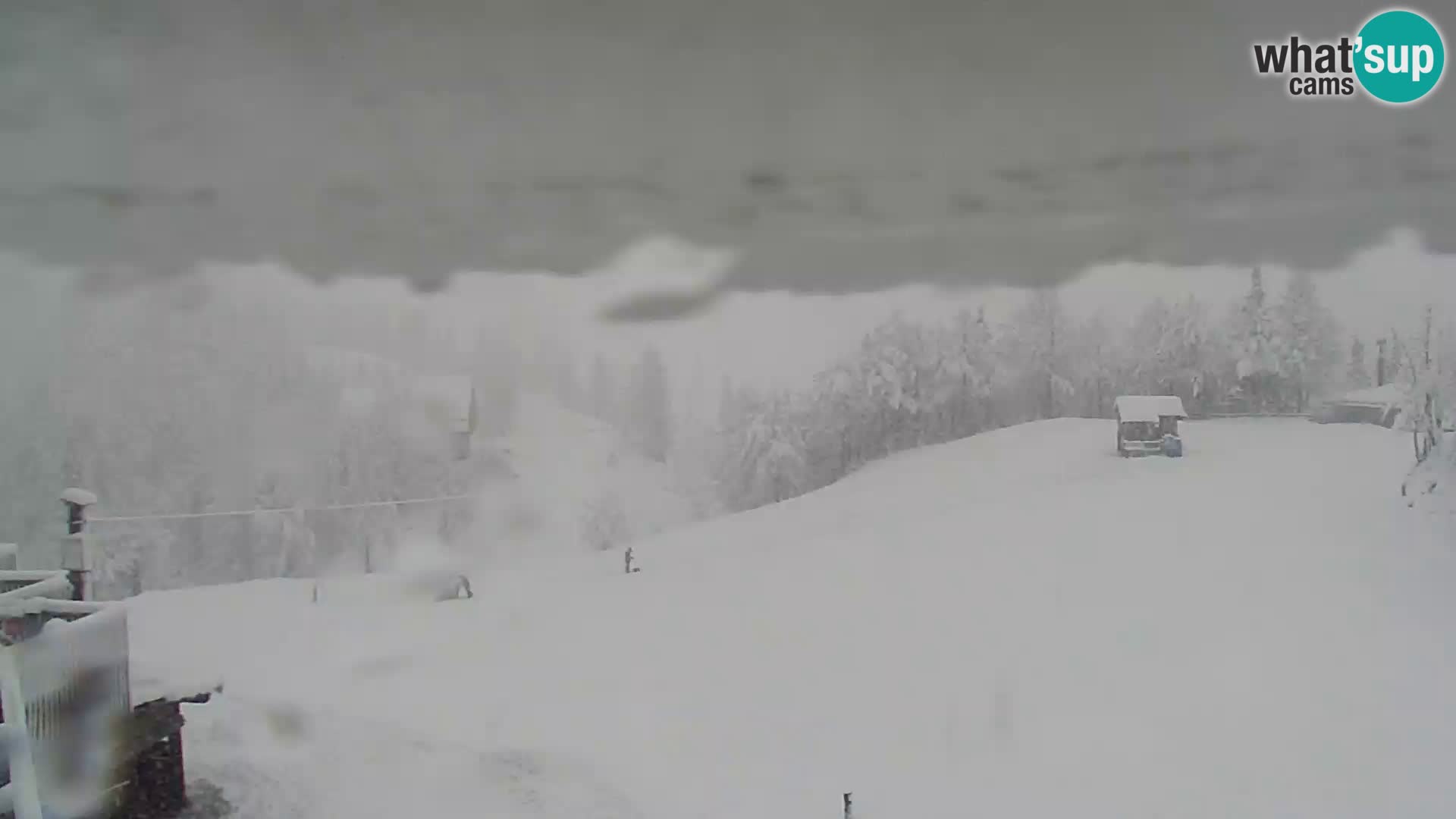 Webcam Ski resort Vogel