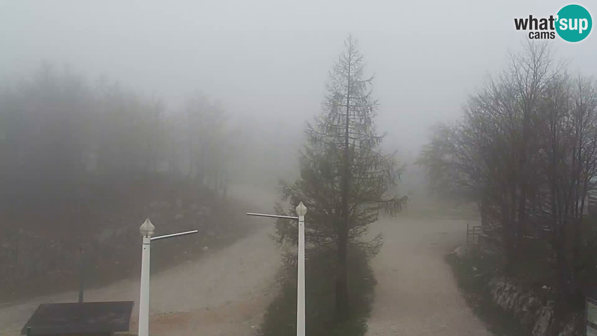 Webcam Ski resort Vogel