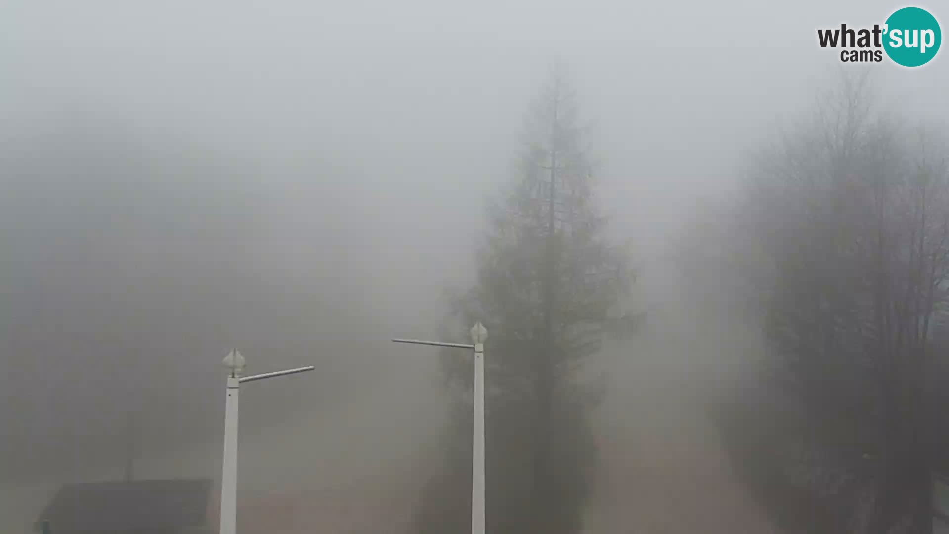 Webcam Ski resort Vogel