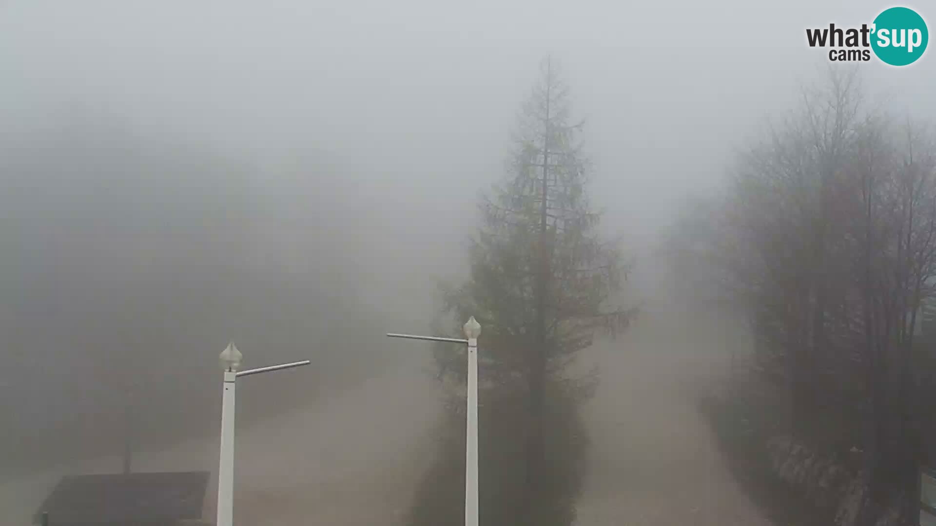 Webcam Ski resort Vogel