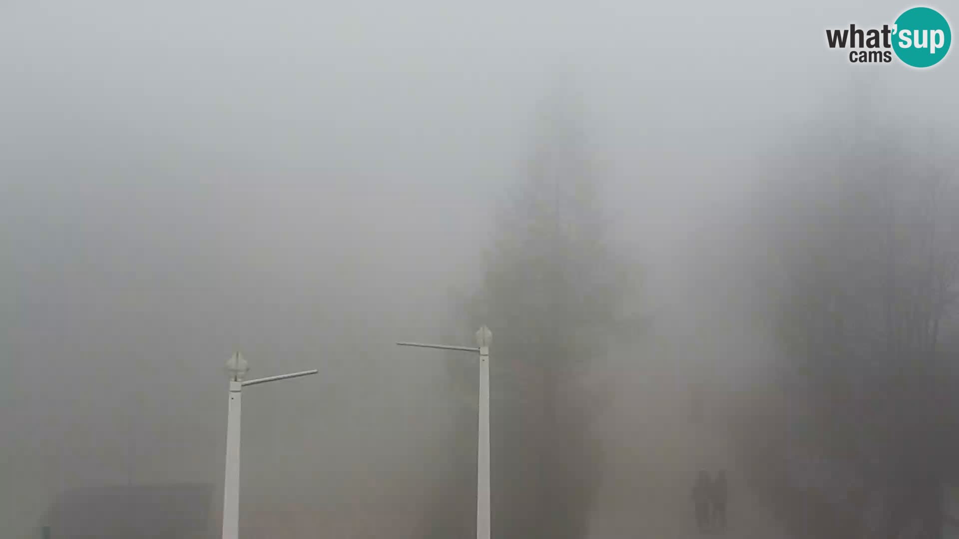Live cam Station ski Vogel
