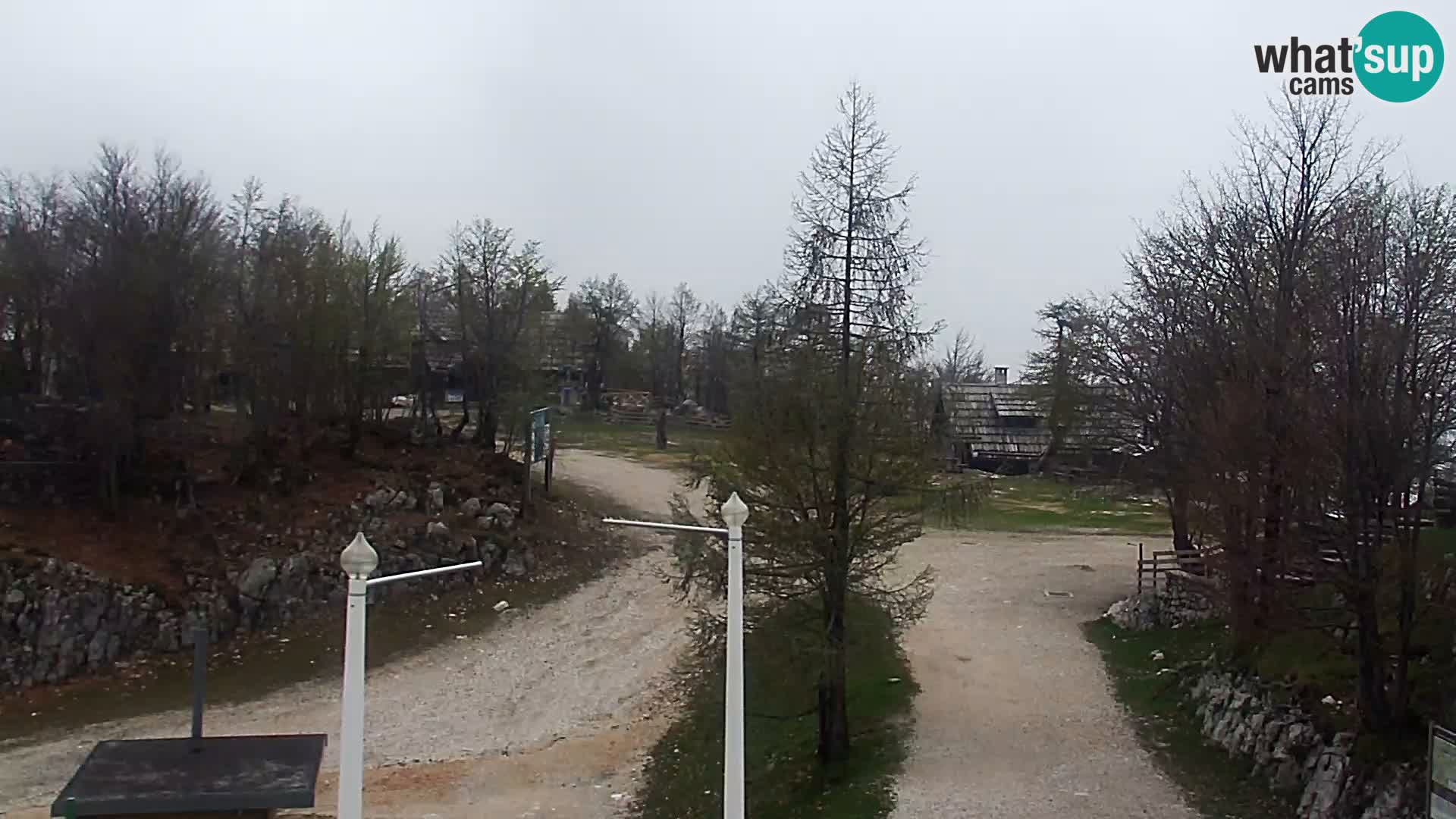Spletna kamera Smučišče Kamera v zivo Vogel – postaja nihalke