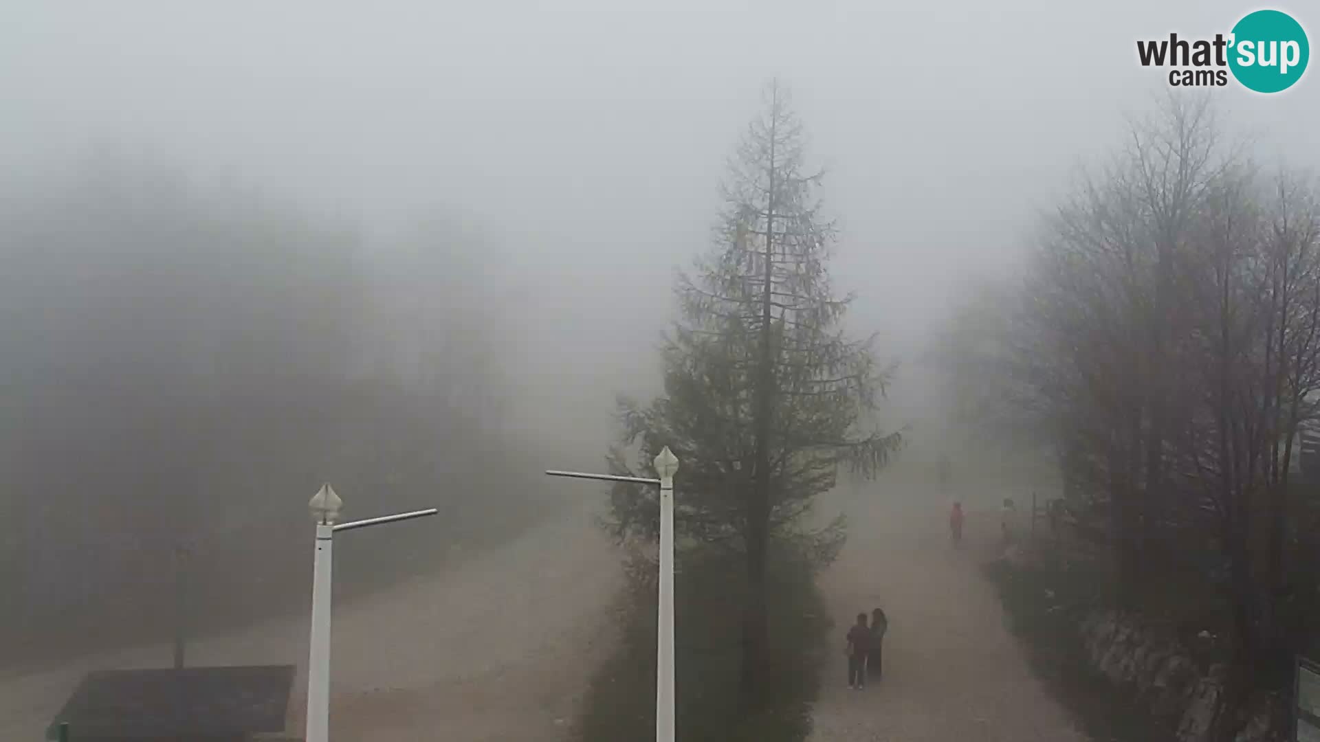 Webcam Ski resort Vogel