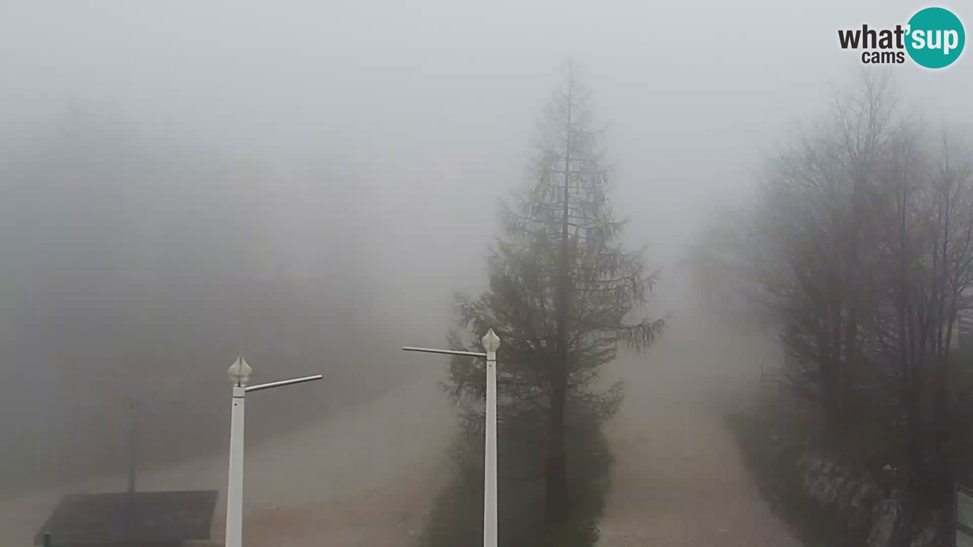 Live cam Station ski Vogel