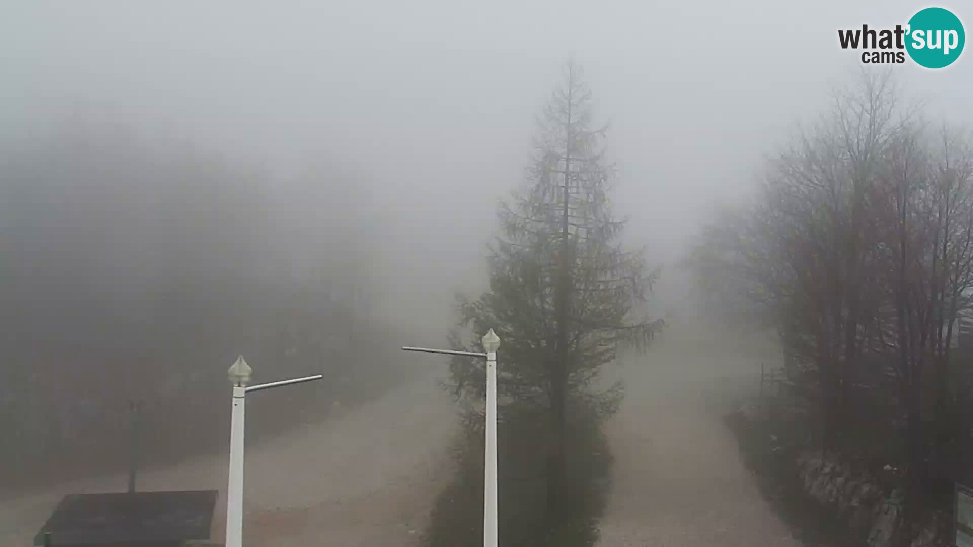 Webcam Skigebiet Vogel