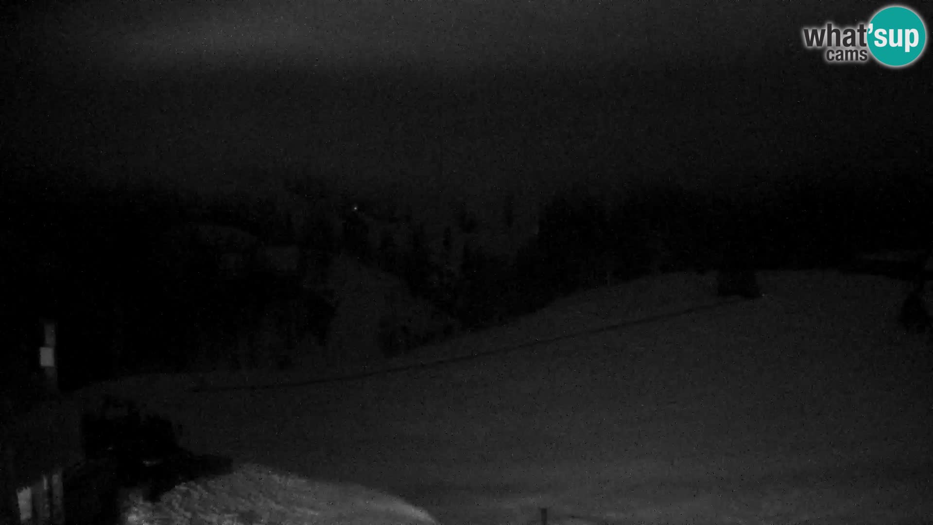 Live cam Station ski Vogel