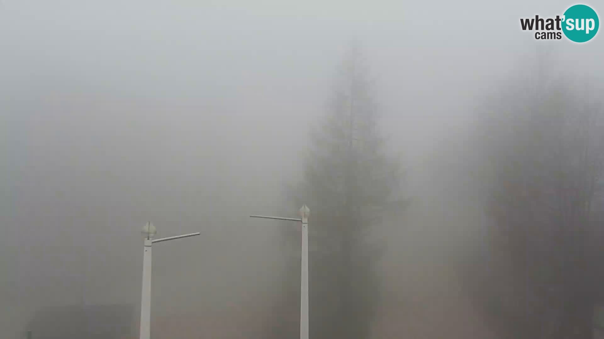 Webcam Skigebiet Vogel