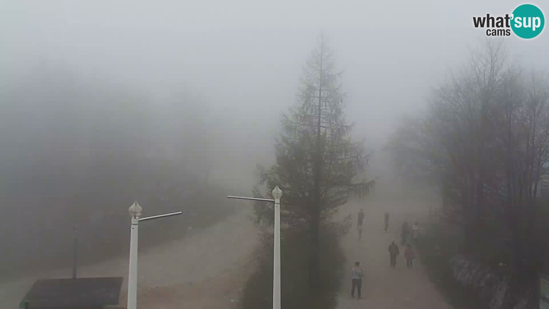 Live cam Station ski Vogel