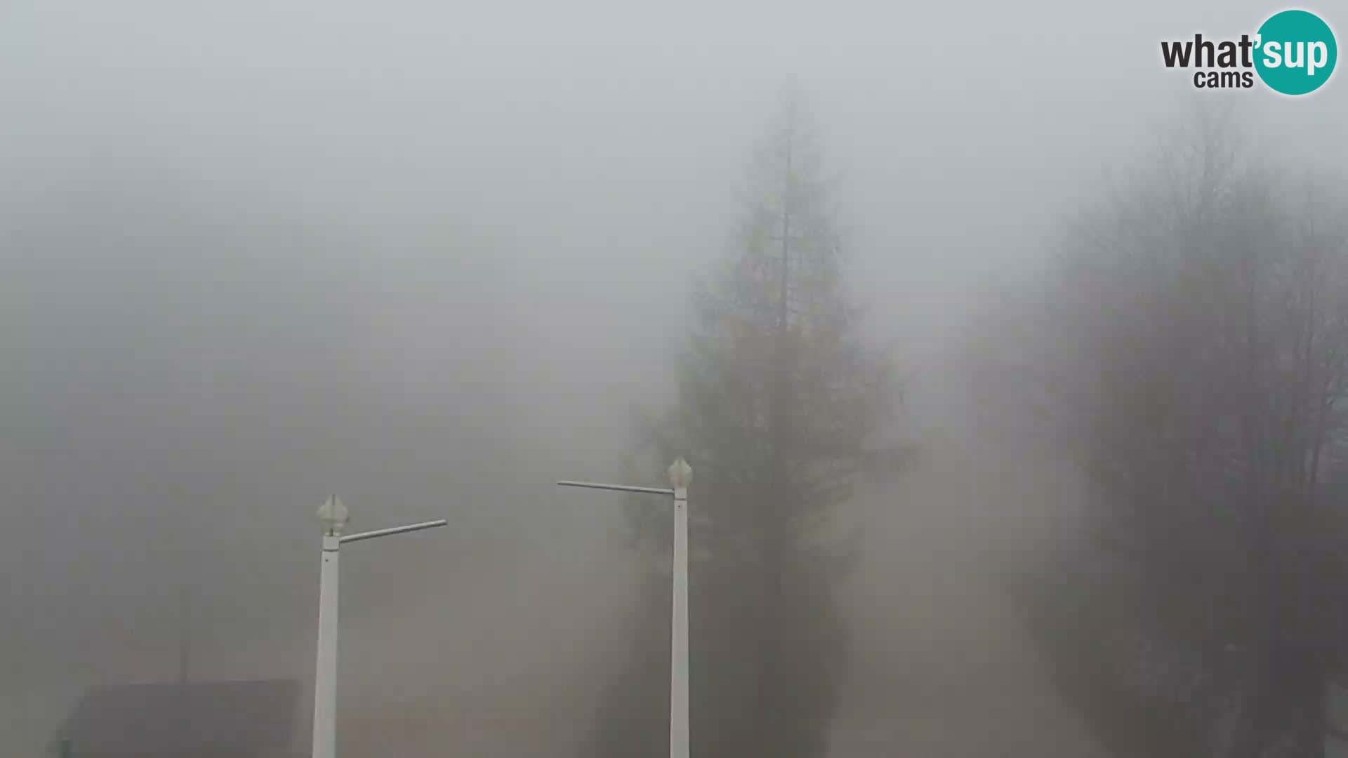 Webcam Ski resort Vogel