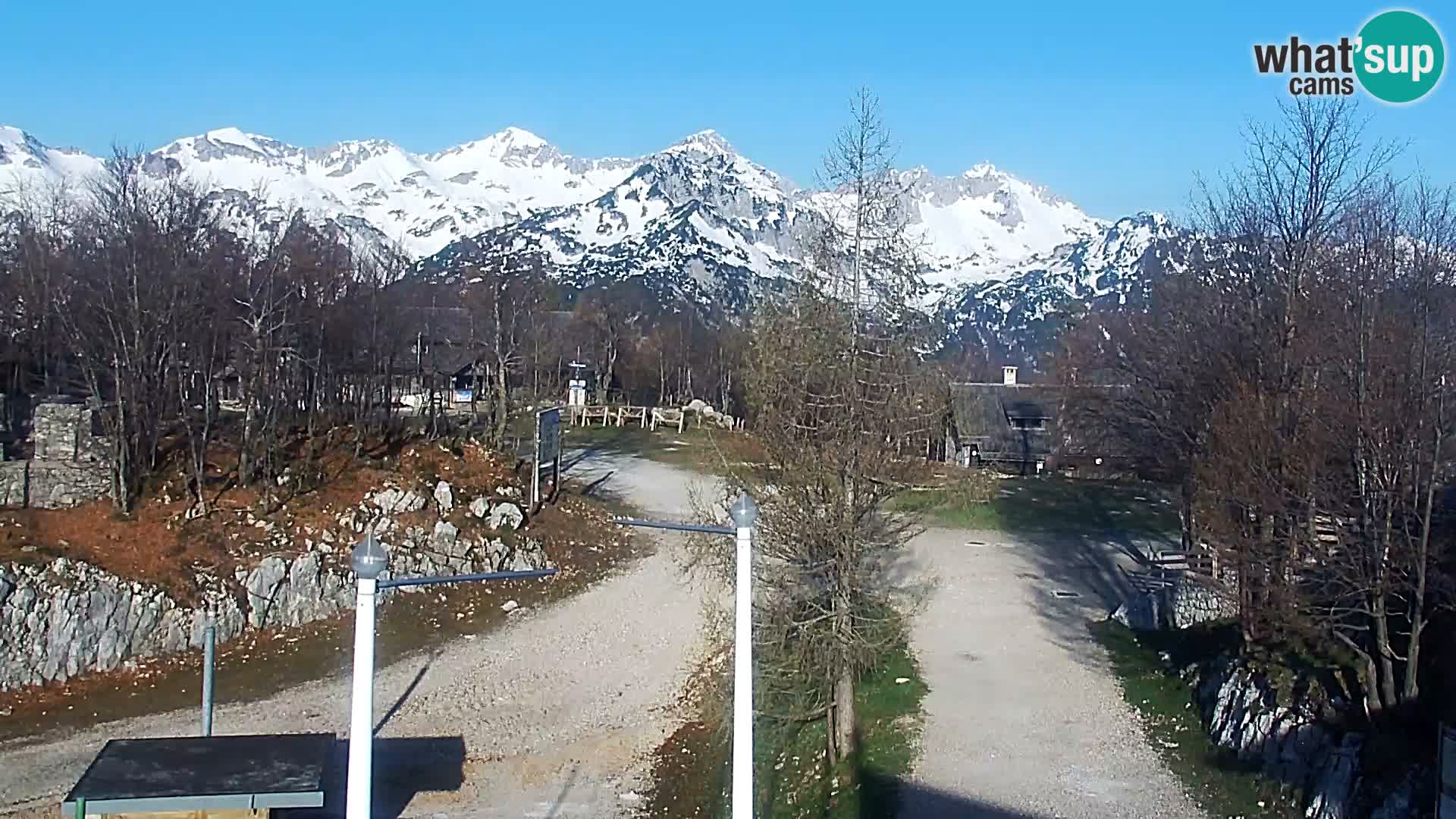 Live cam Station ski Vogel