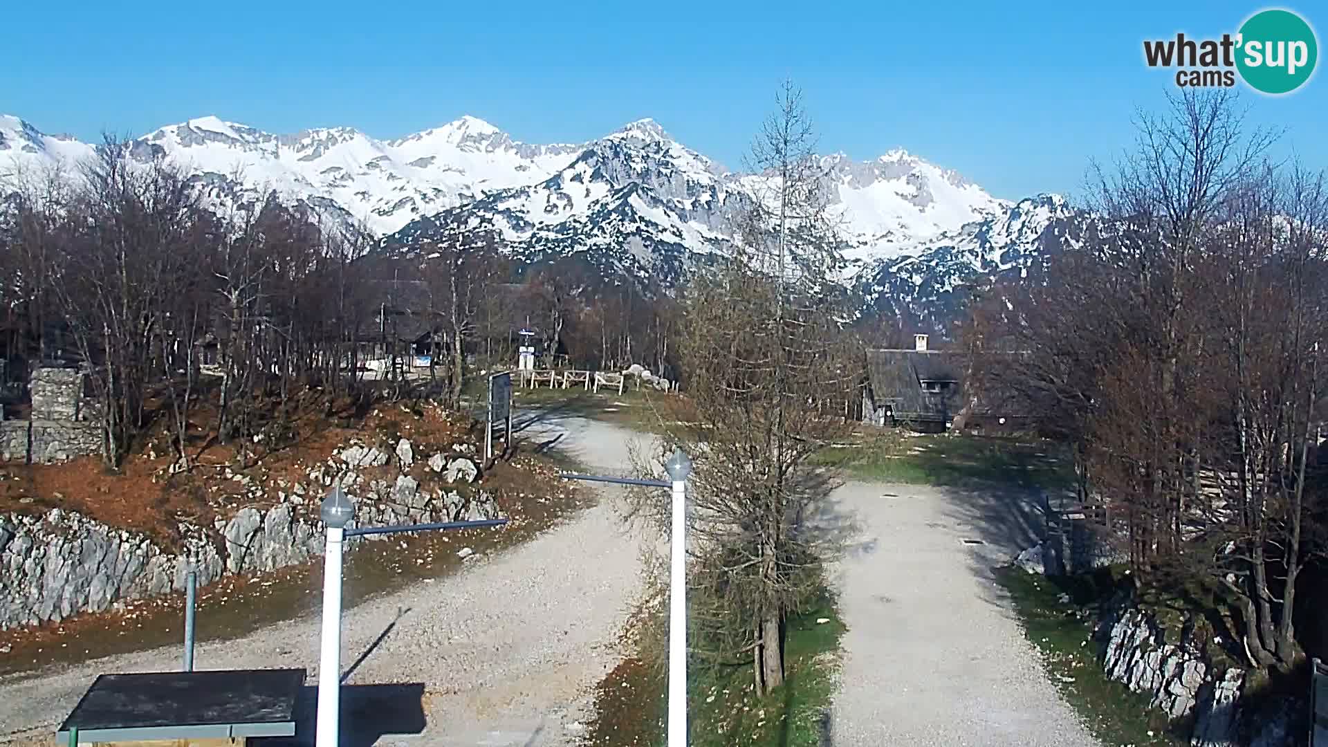 Webcam Ski resort Vogel