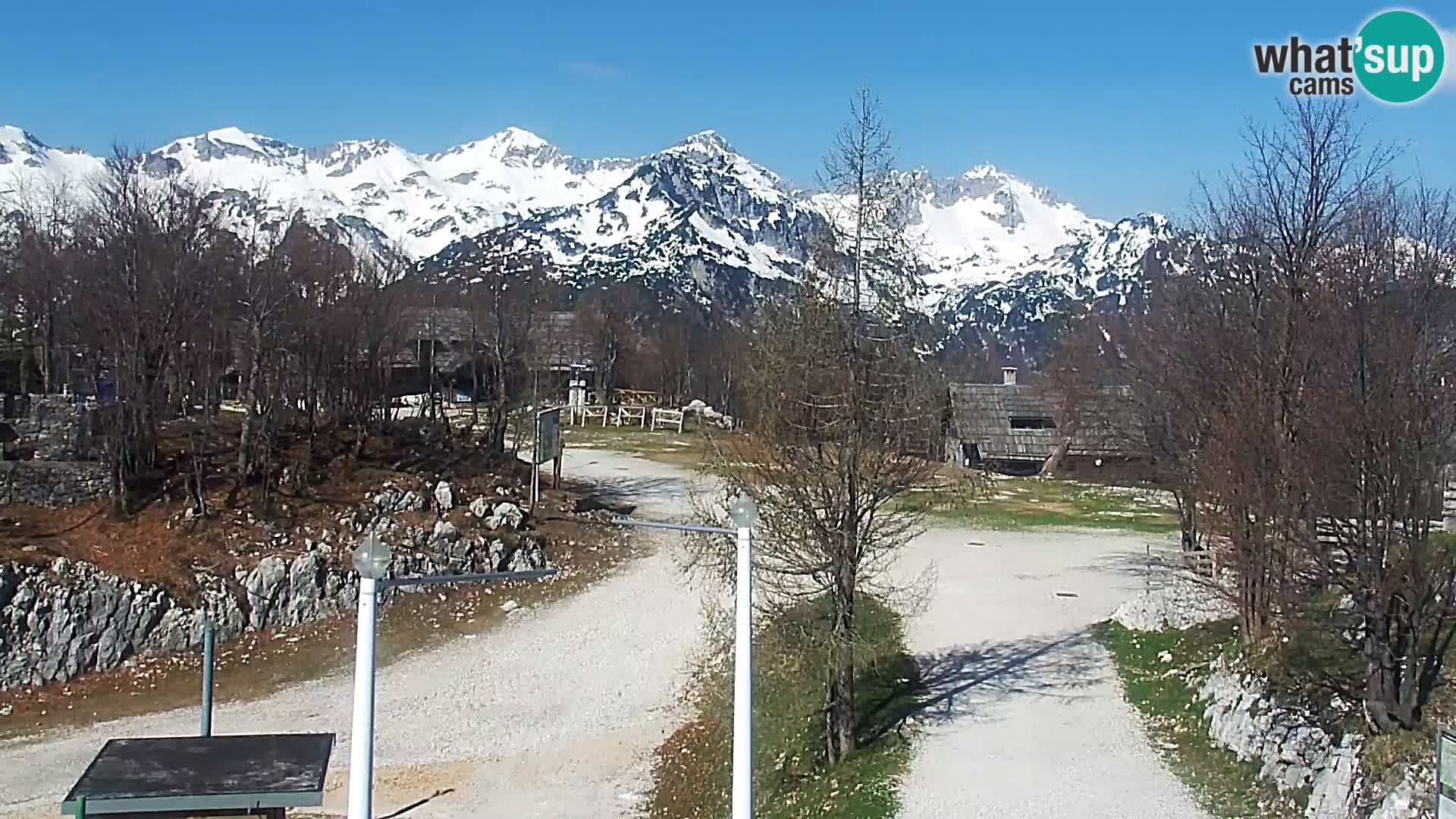 Live cam Station ski Vogel