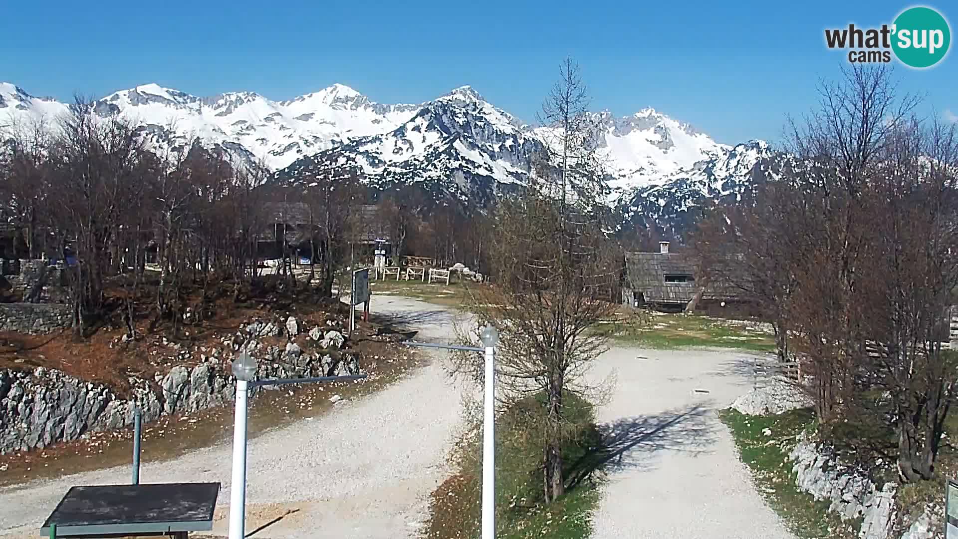 Webcam Skigebiet Vogel