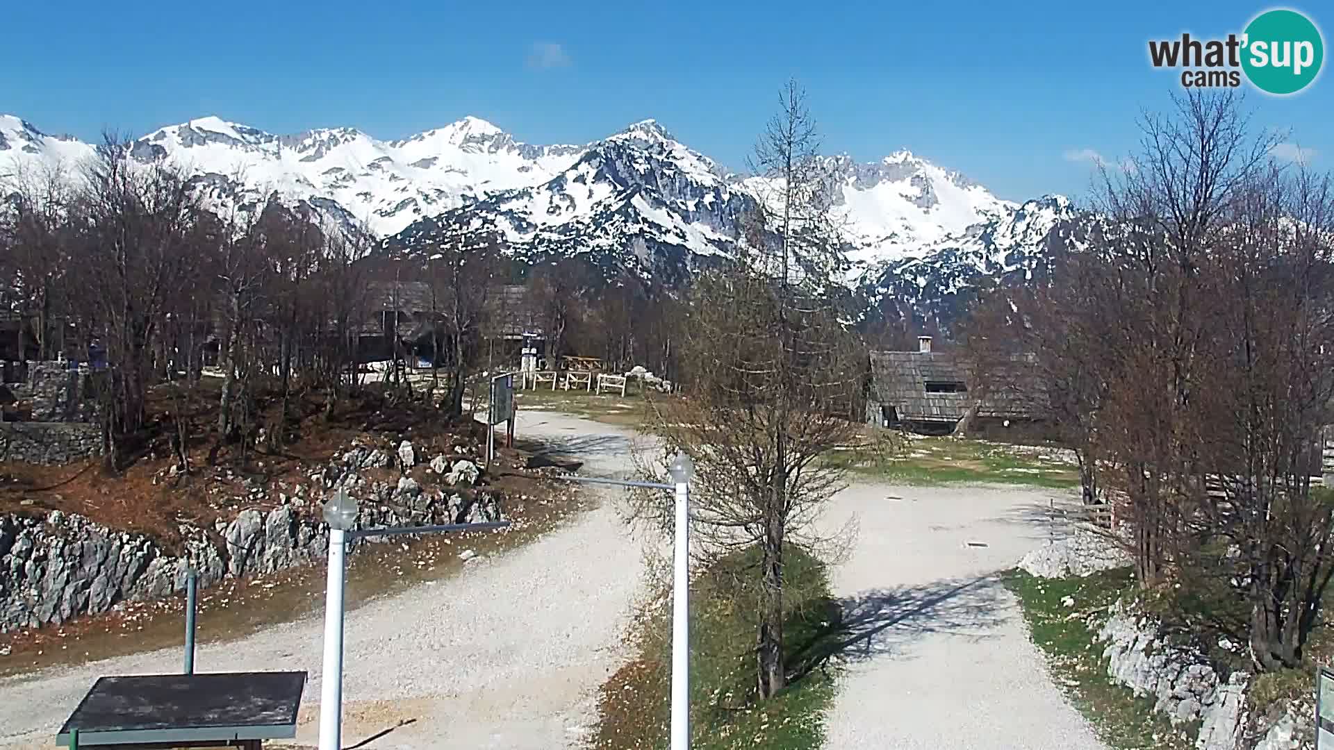 Webcam Ski resort Vogel