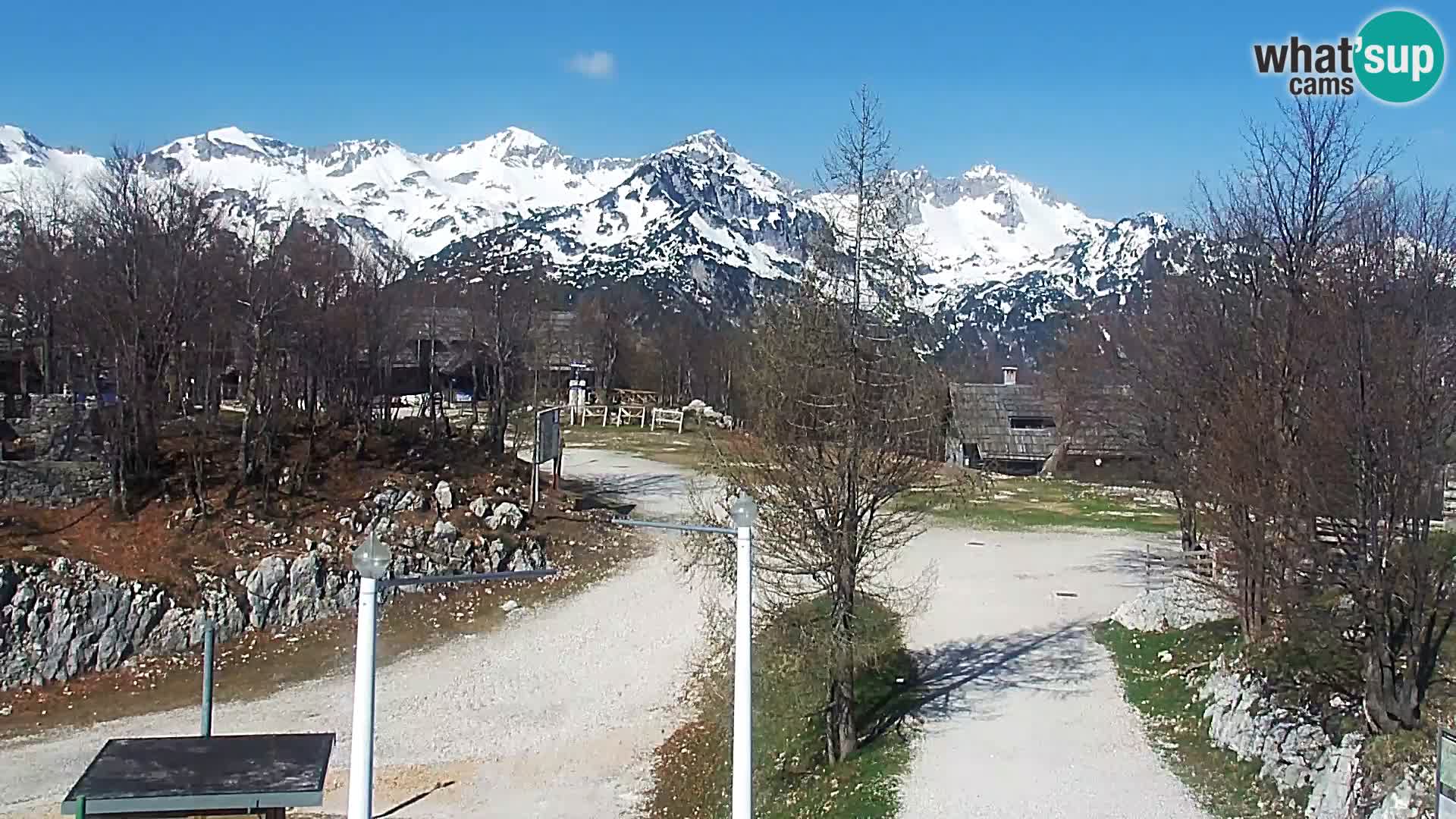 Webcam Ski resort Vogel