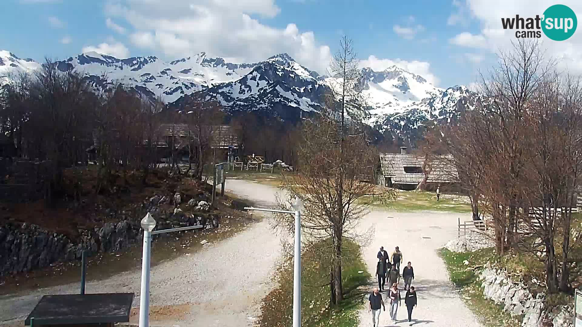 Webcam Ski resort Vogel