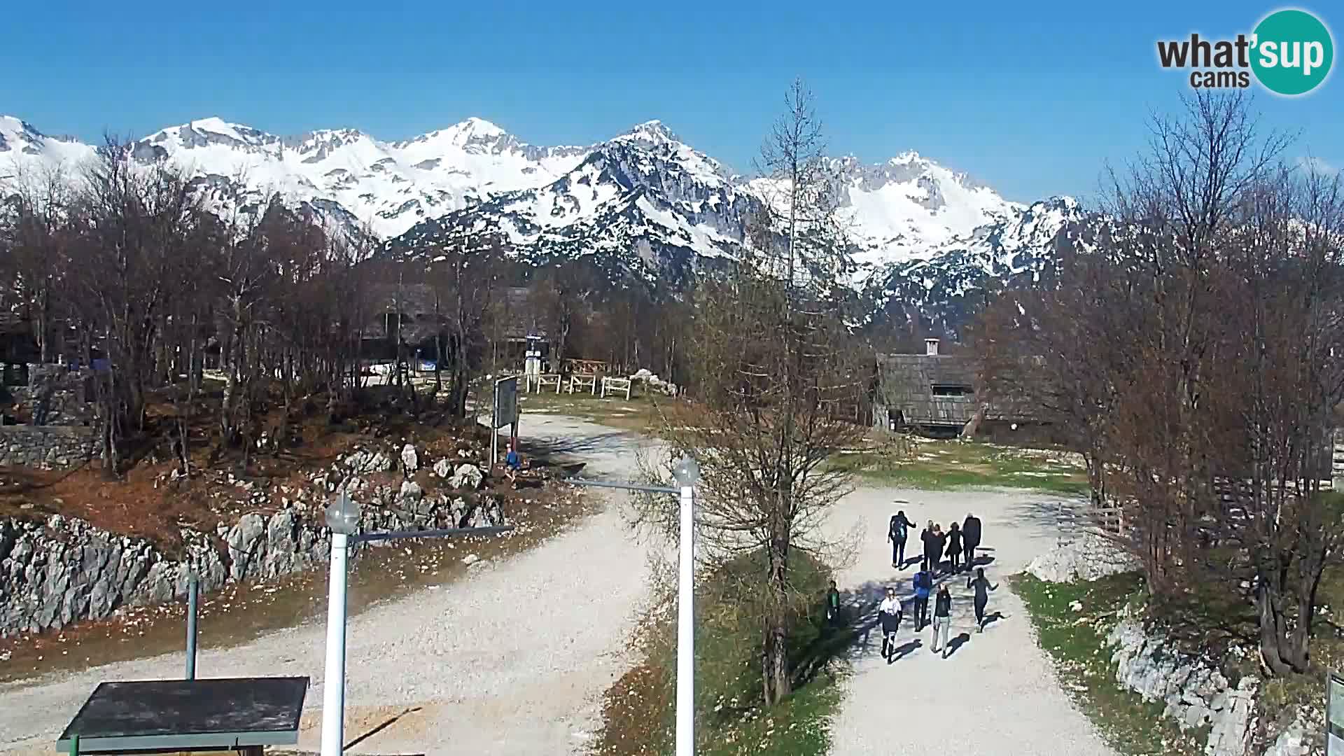 Spletna kamera Smučišče Kamera v zivo Vogel – postaja nihalke