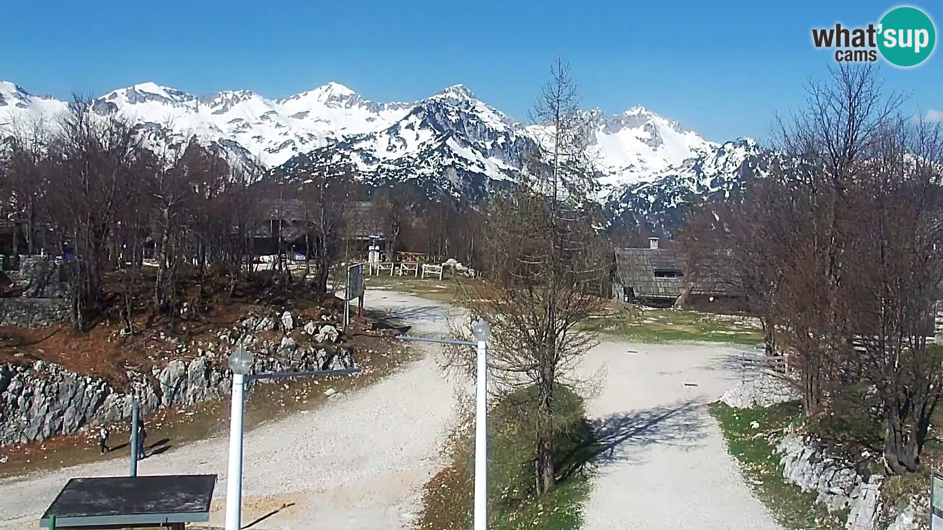 Spletna kamera Smučišče Kamera v zivo Vogel – postaja nihalke