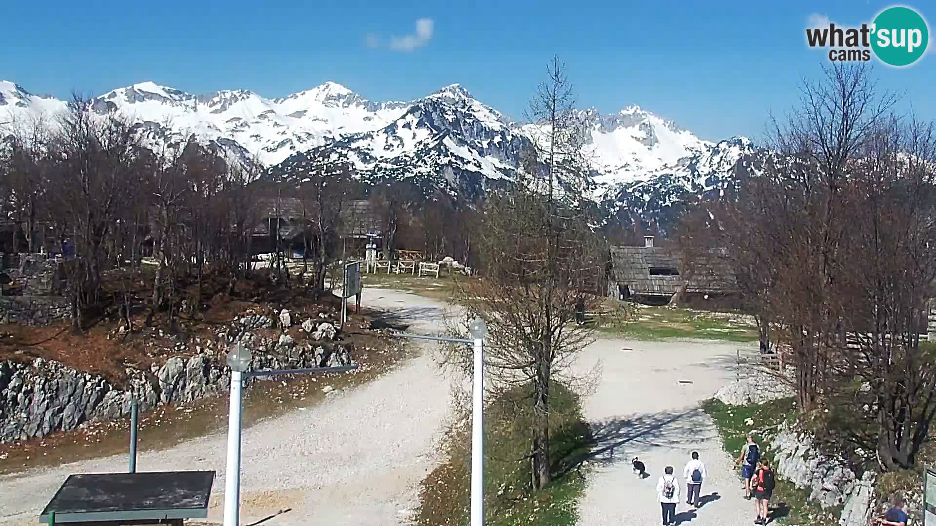 Webcam Ski resort Vogel