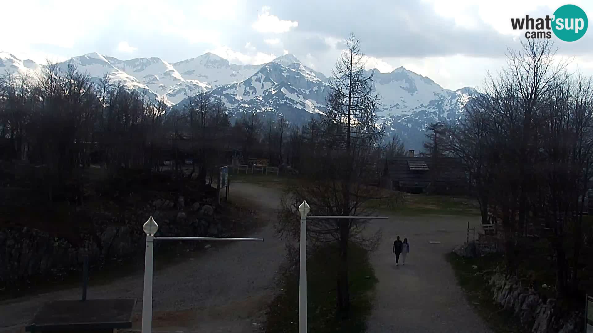 Webcam Ski resort Vogel