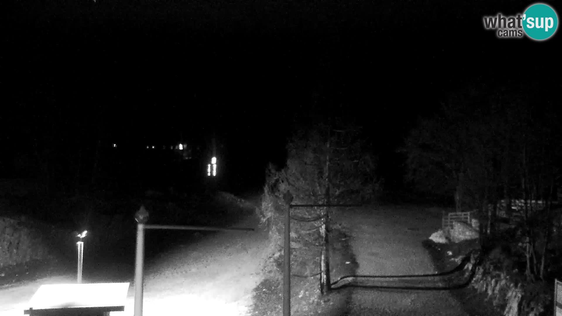 Live cam Station ski Vogel