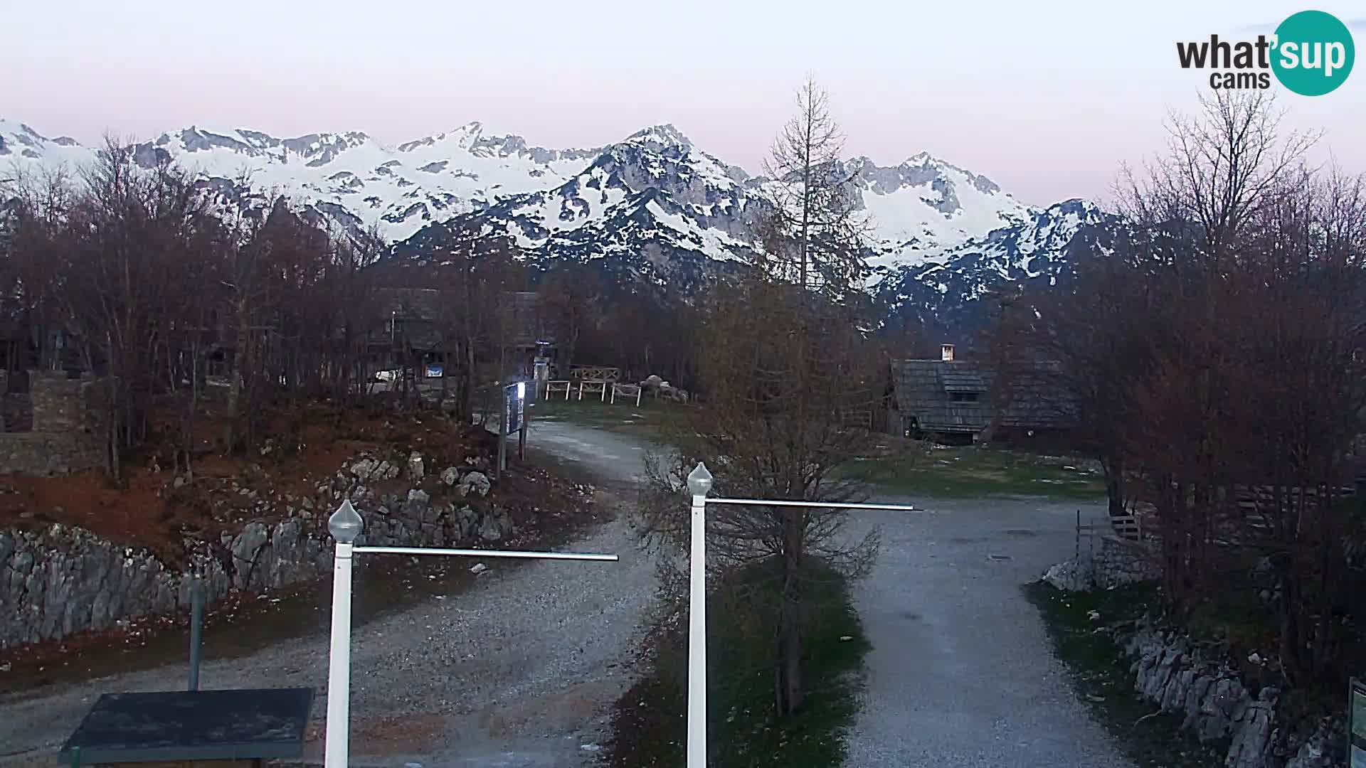 Webcam Skigebiet Vogel