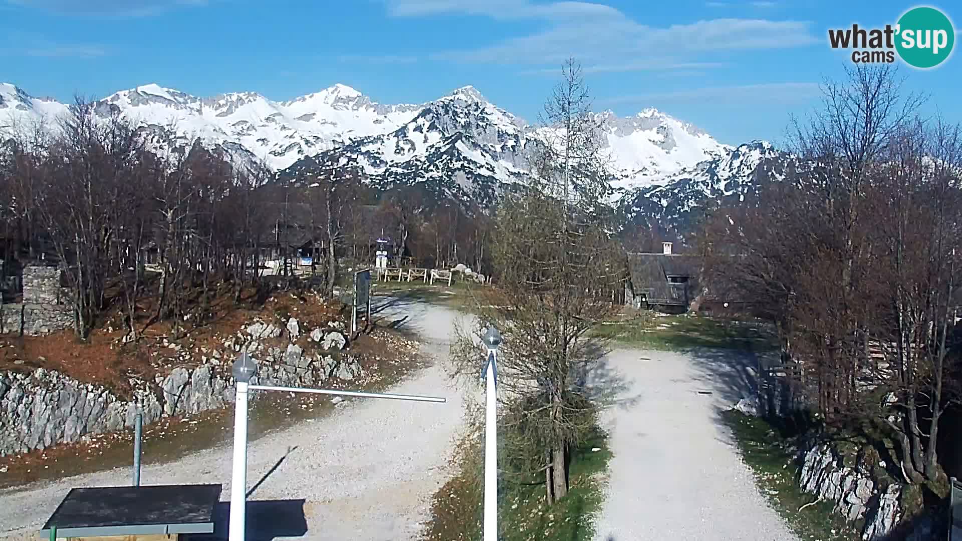 Live cam Station ski Vogel